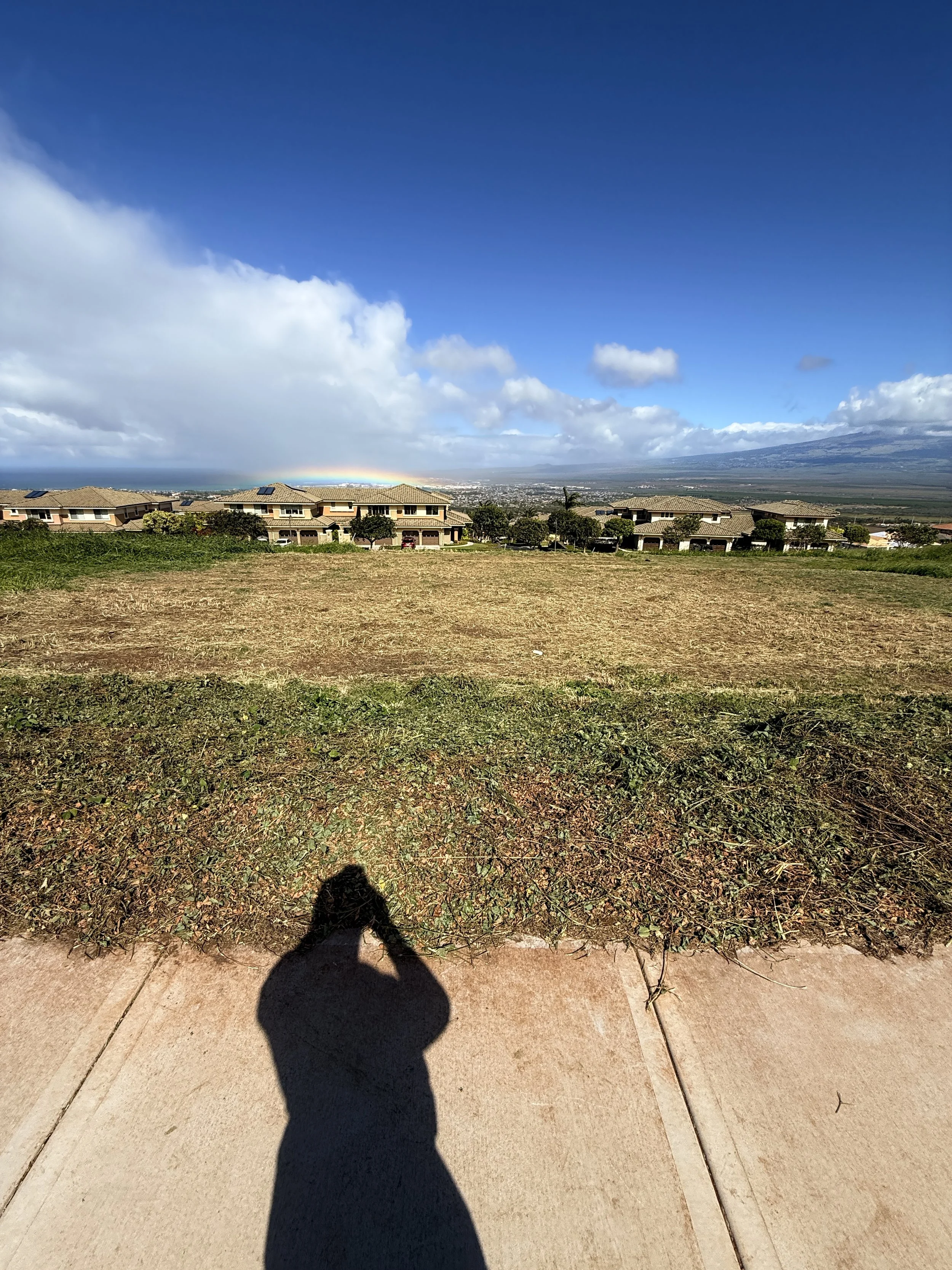 A grassy hill with dry and green grass, residential houses with garages and trees in the background, under a blue sky with some clouds.