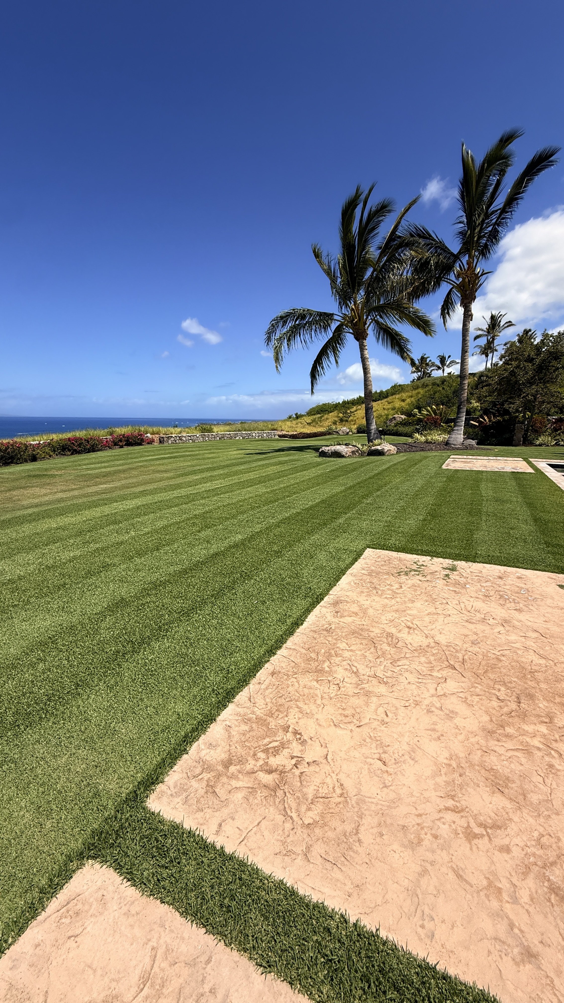 Tropical landscape with a palm tree, well-maintained lawn, stone wall, ocean view, and distant landmass under partly cloudy sky.