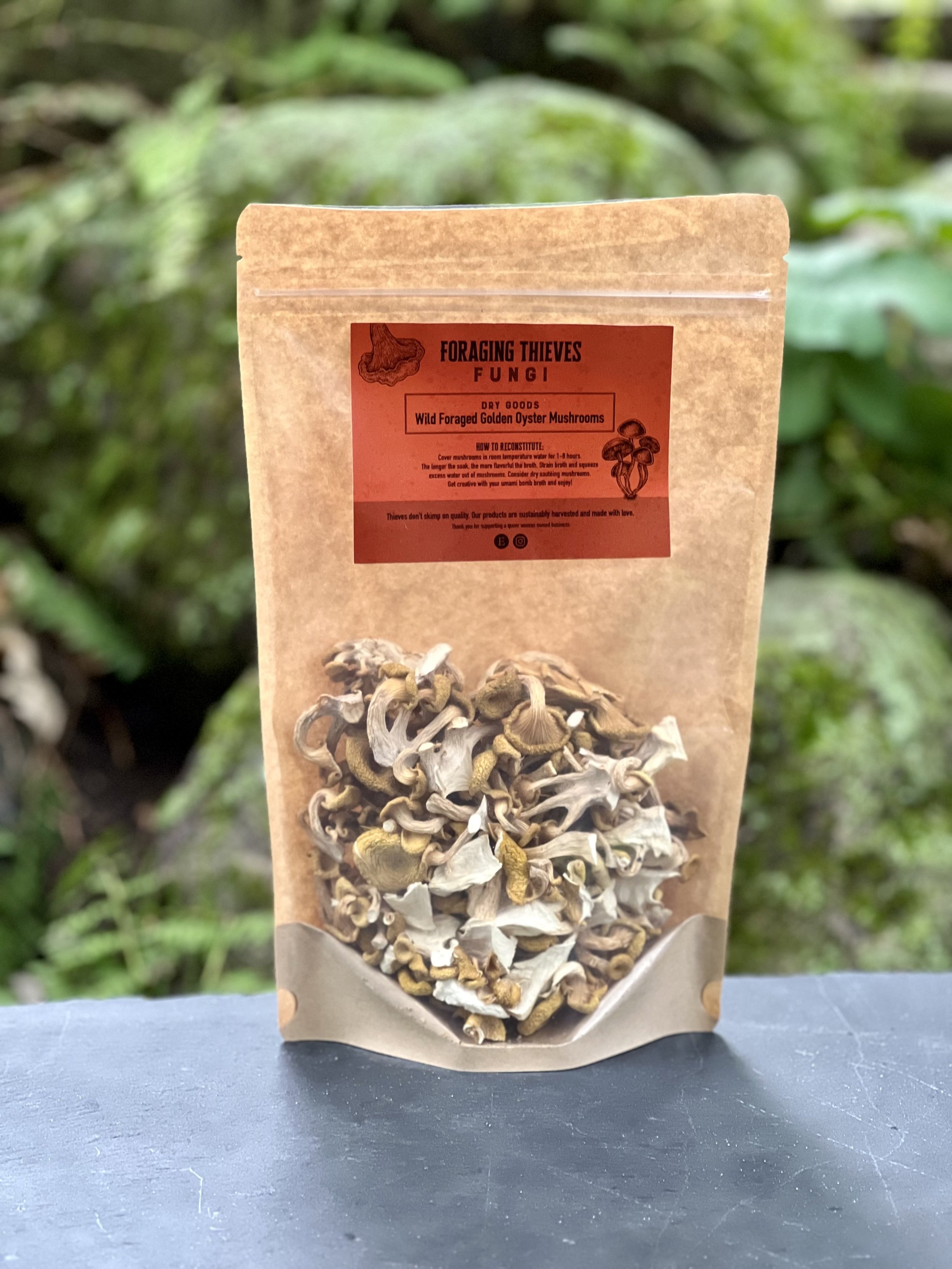 Wild Foraged Golden Oyster Mushrooms