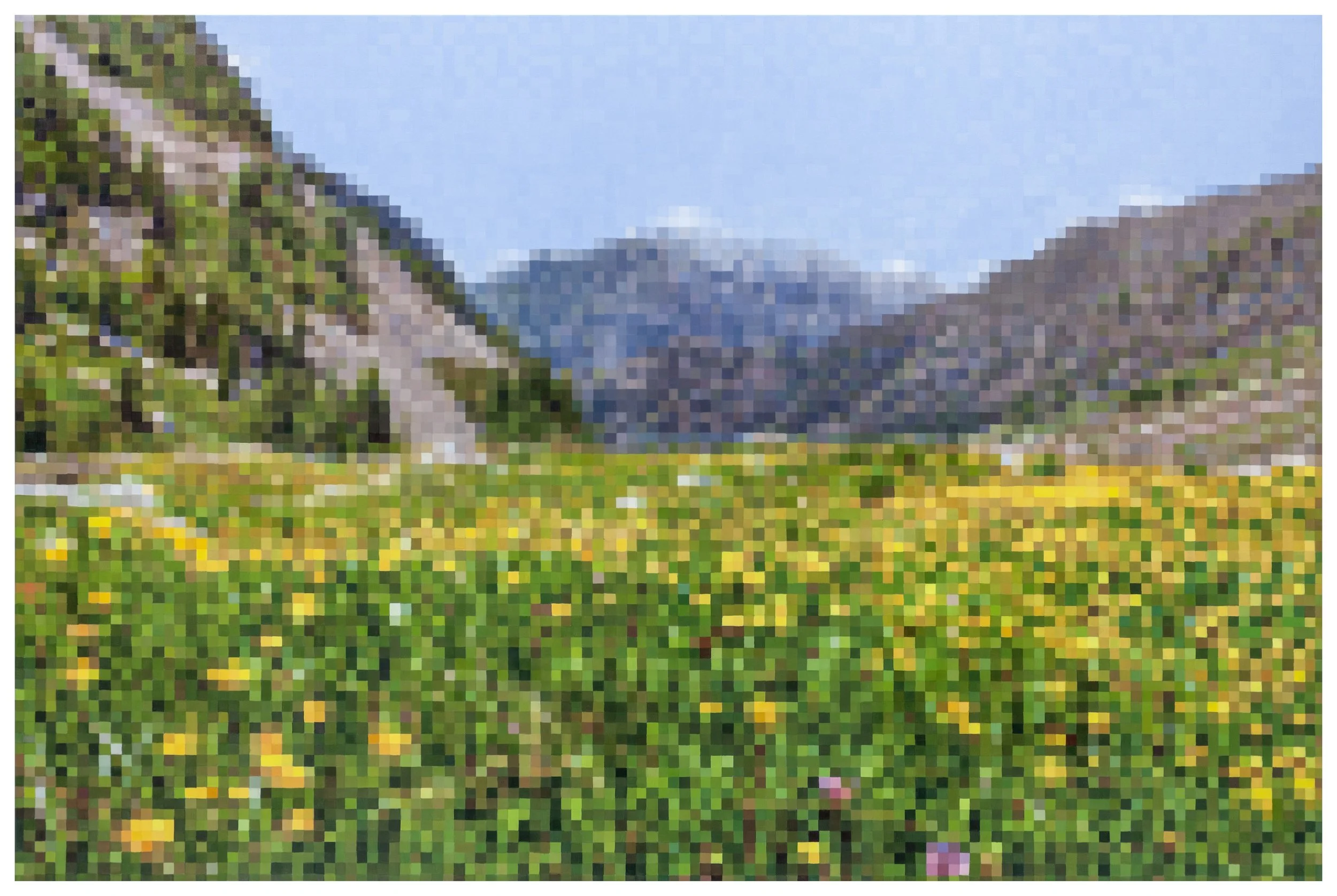 Valley Flowers 81x122cm oil on linen