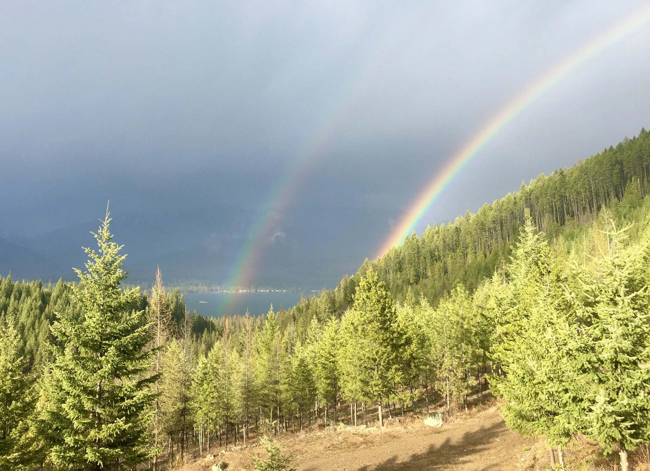 Beyond the Binary: A Gender-Affirming Care Training for Bodywork Practitioners