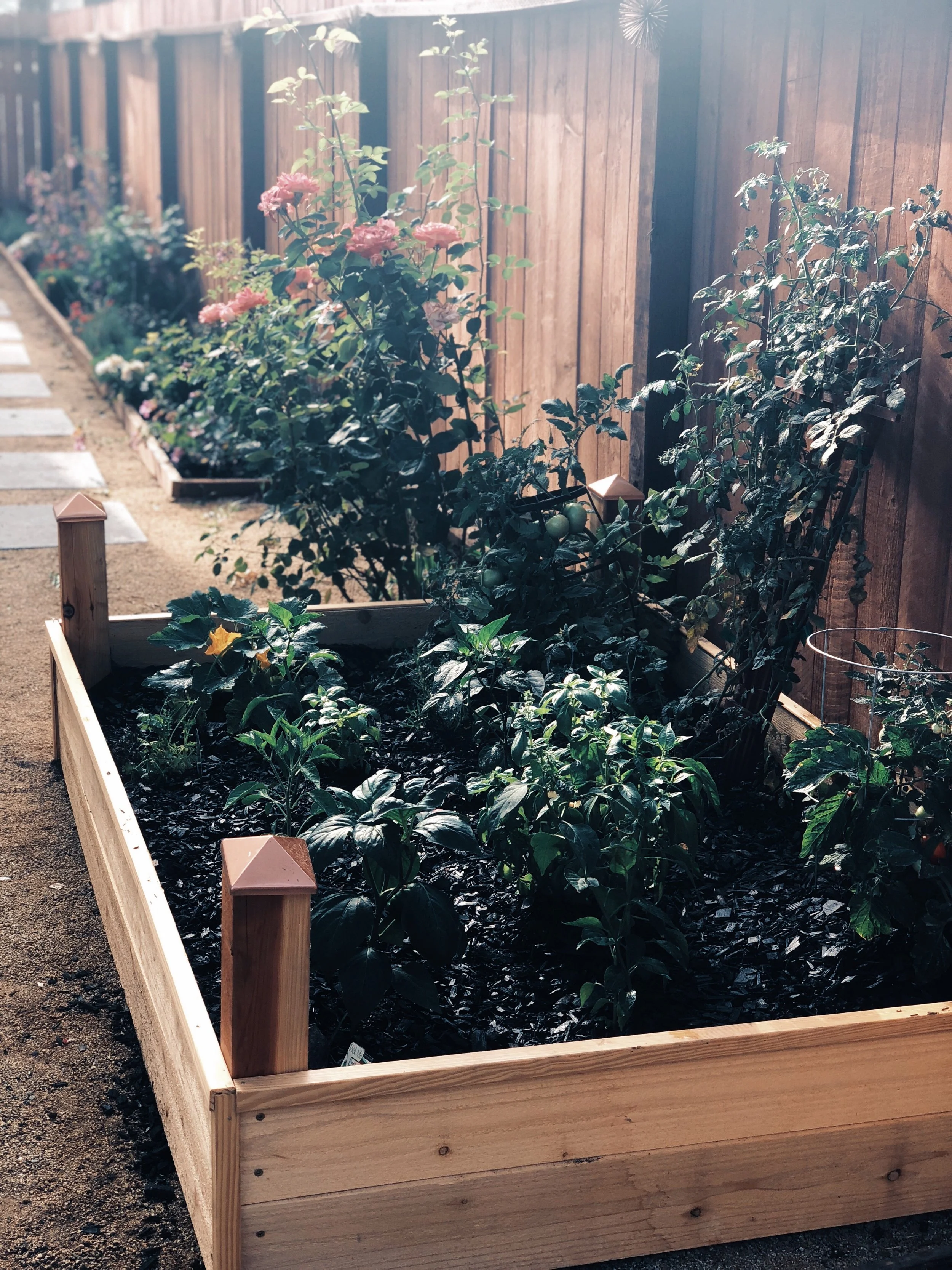 Sacramento Garden Tour Season 2026: Your Complete Guide