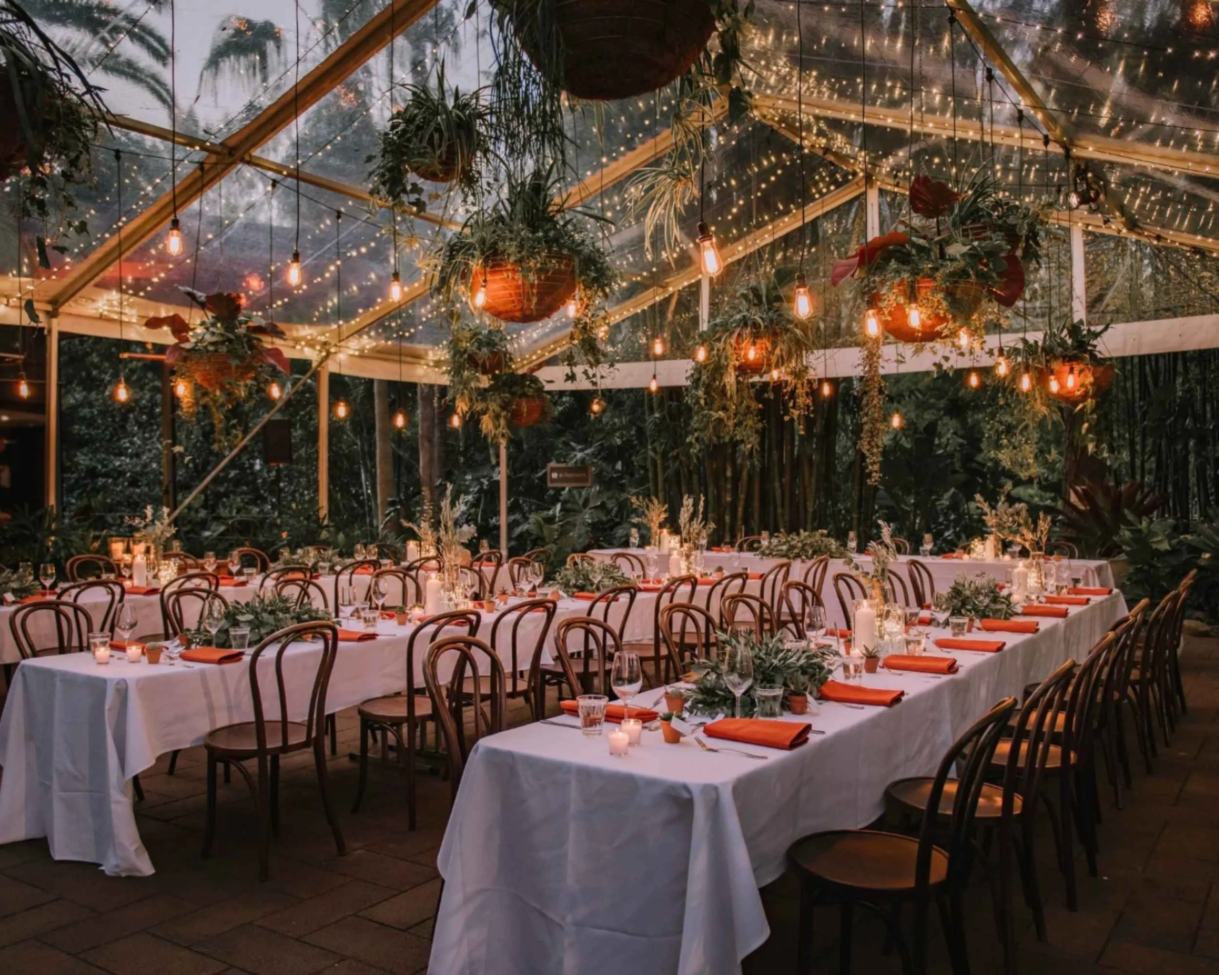 Wild Canary Botanical Bistro