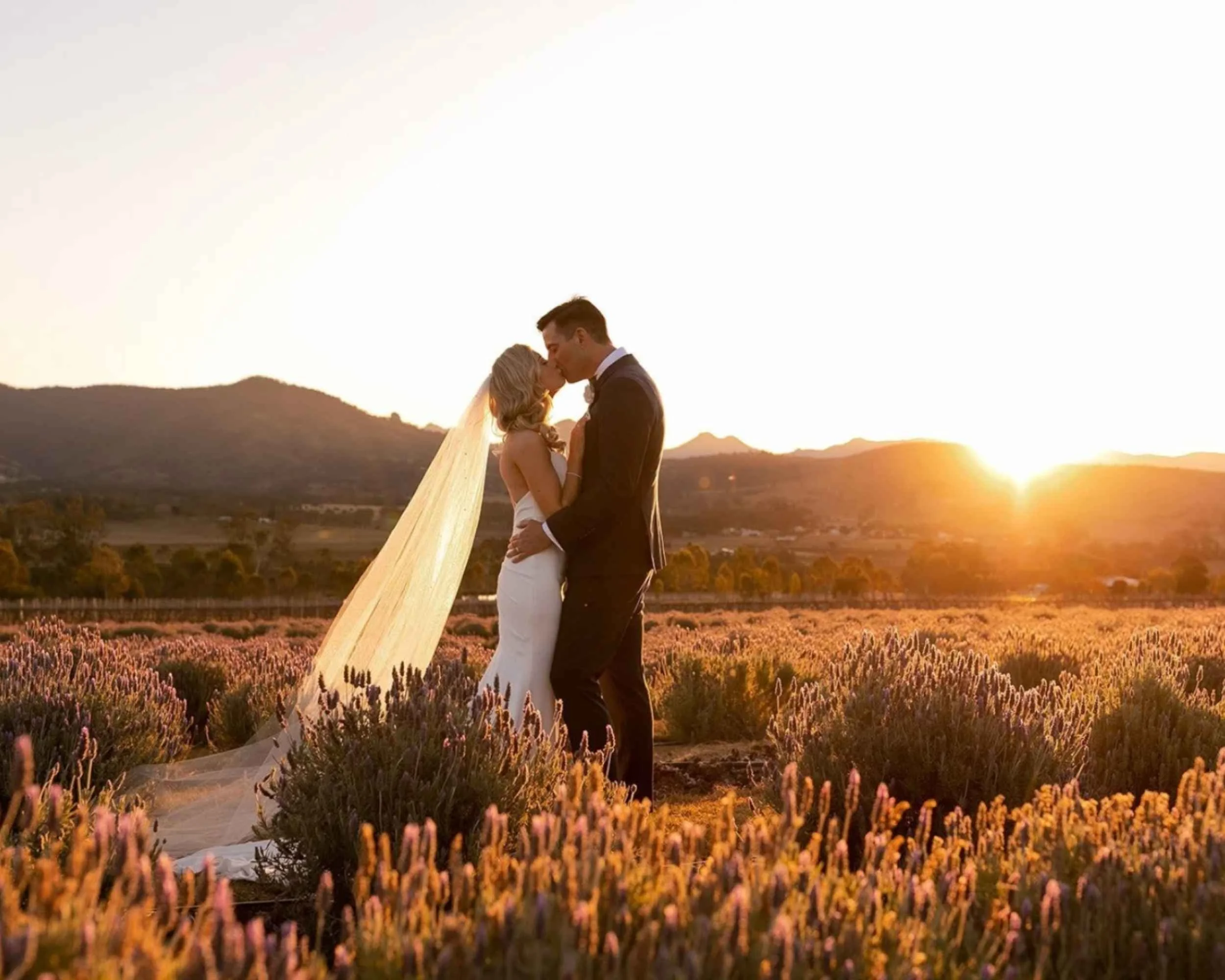 Figtree Pictures + Videography