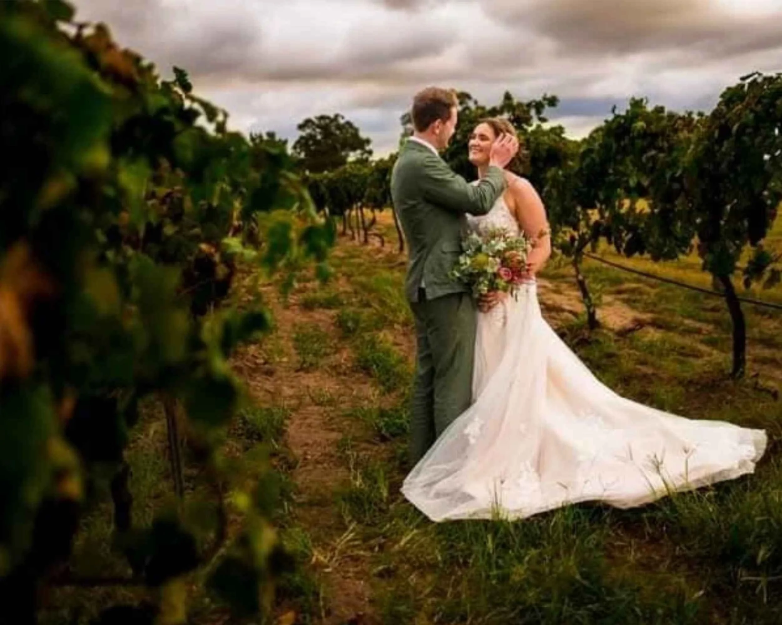 Mountview Wines Cellar Door