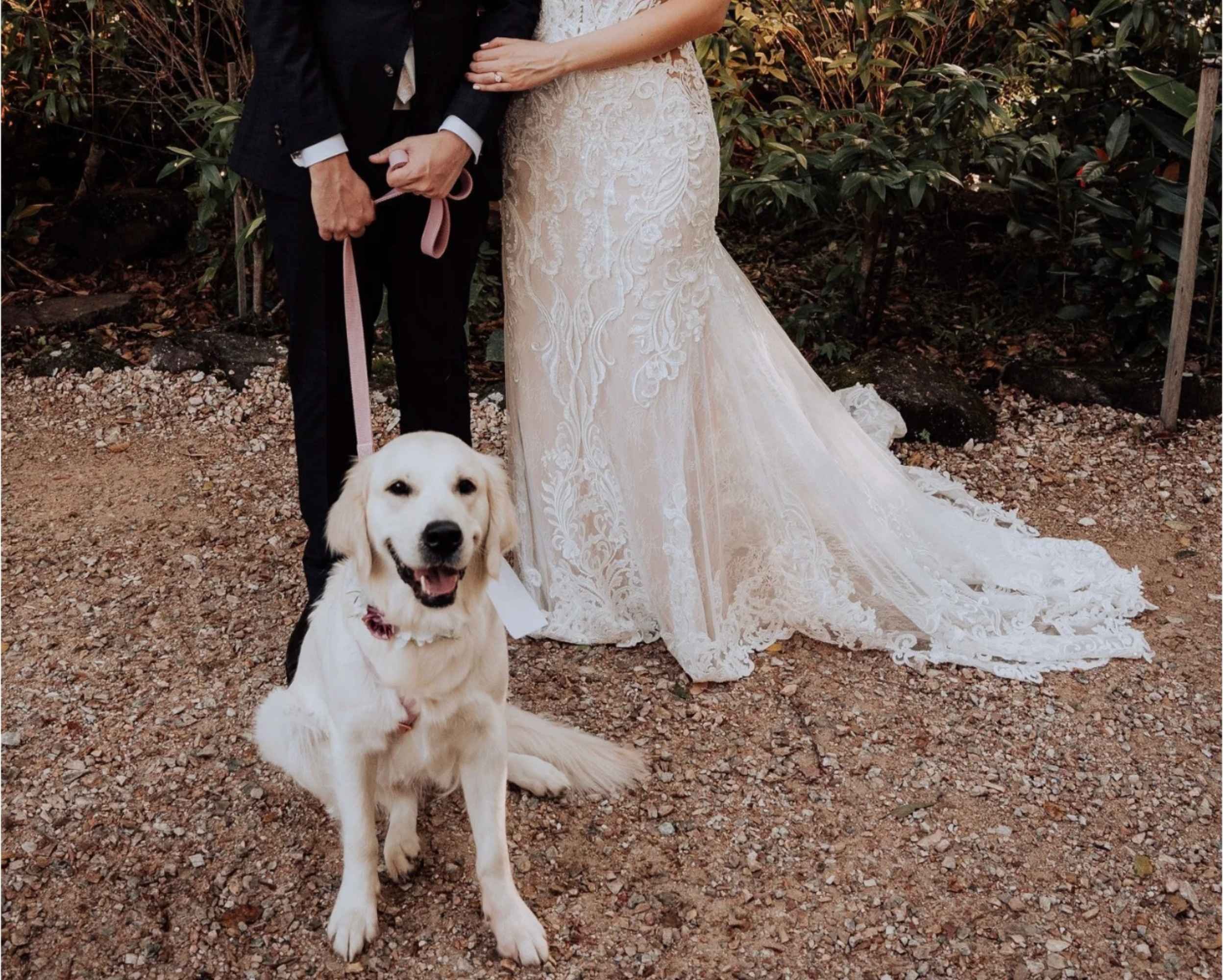 Happy Hounds - Pet Wedding Attendant