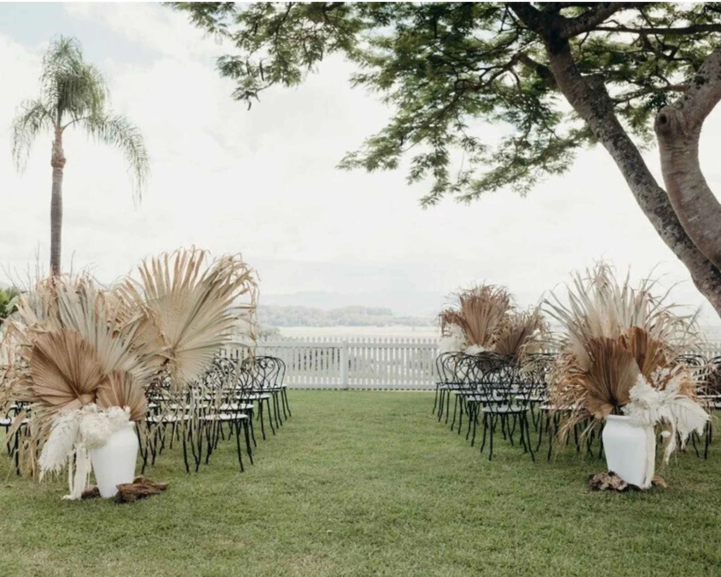 Fins at Plantation House