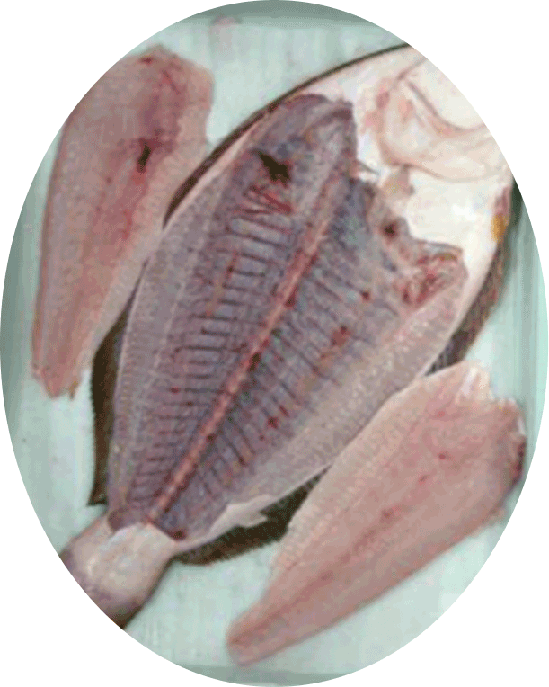 Sendiri Fish About Us — Seremoni