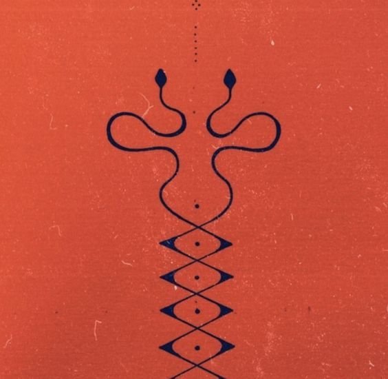 Snakes on burnt orange graphic.jpeg