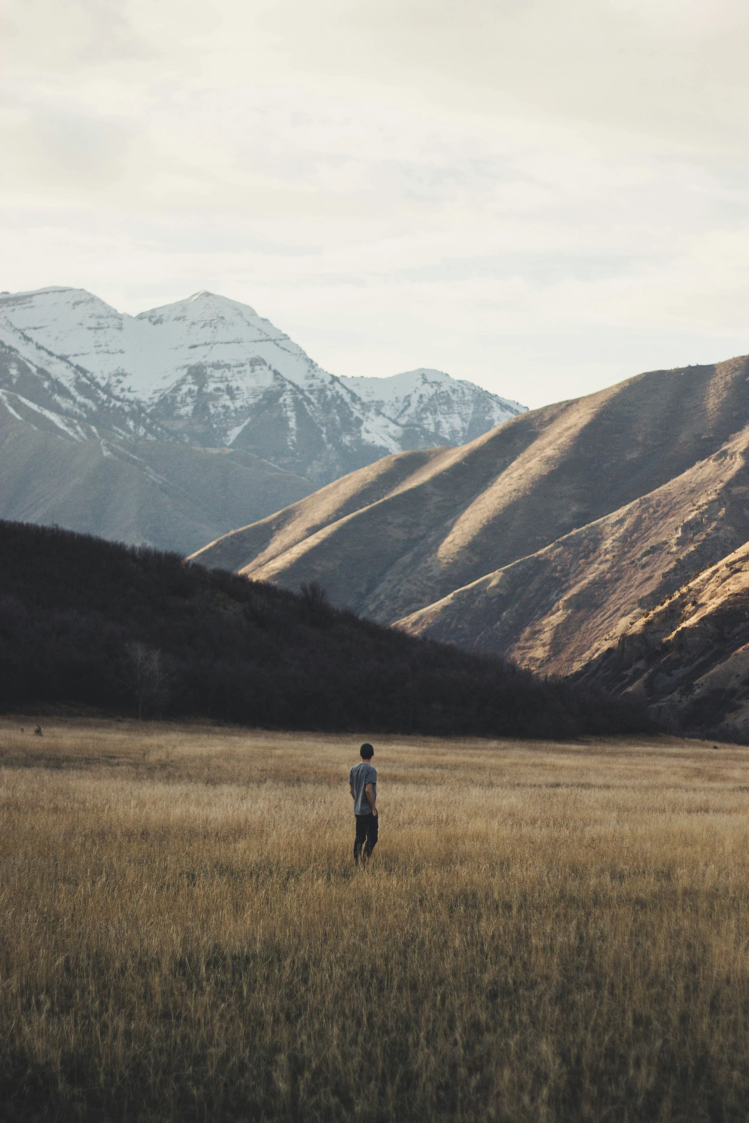 A founder story: High speed, no velocity
