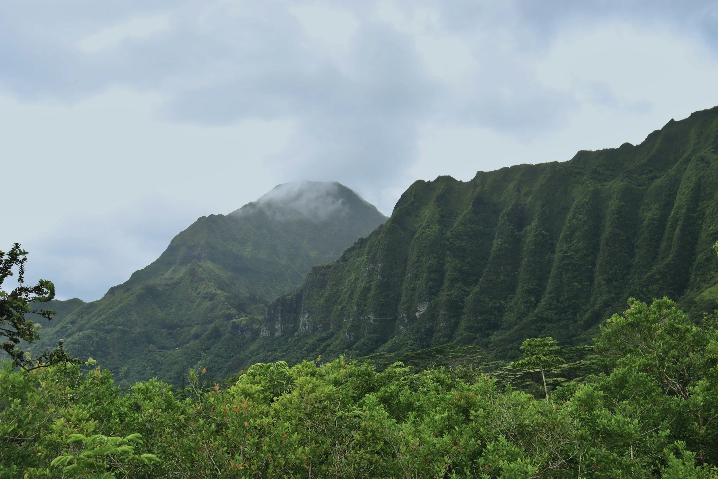エリアと物件タイプを絞る