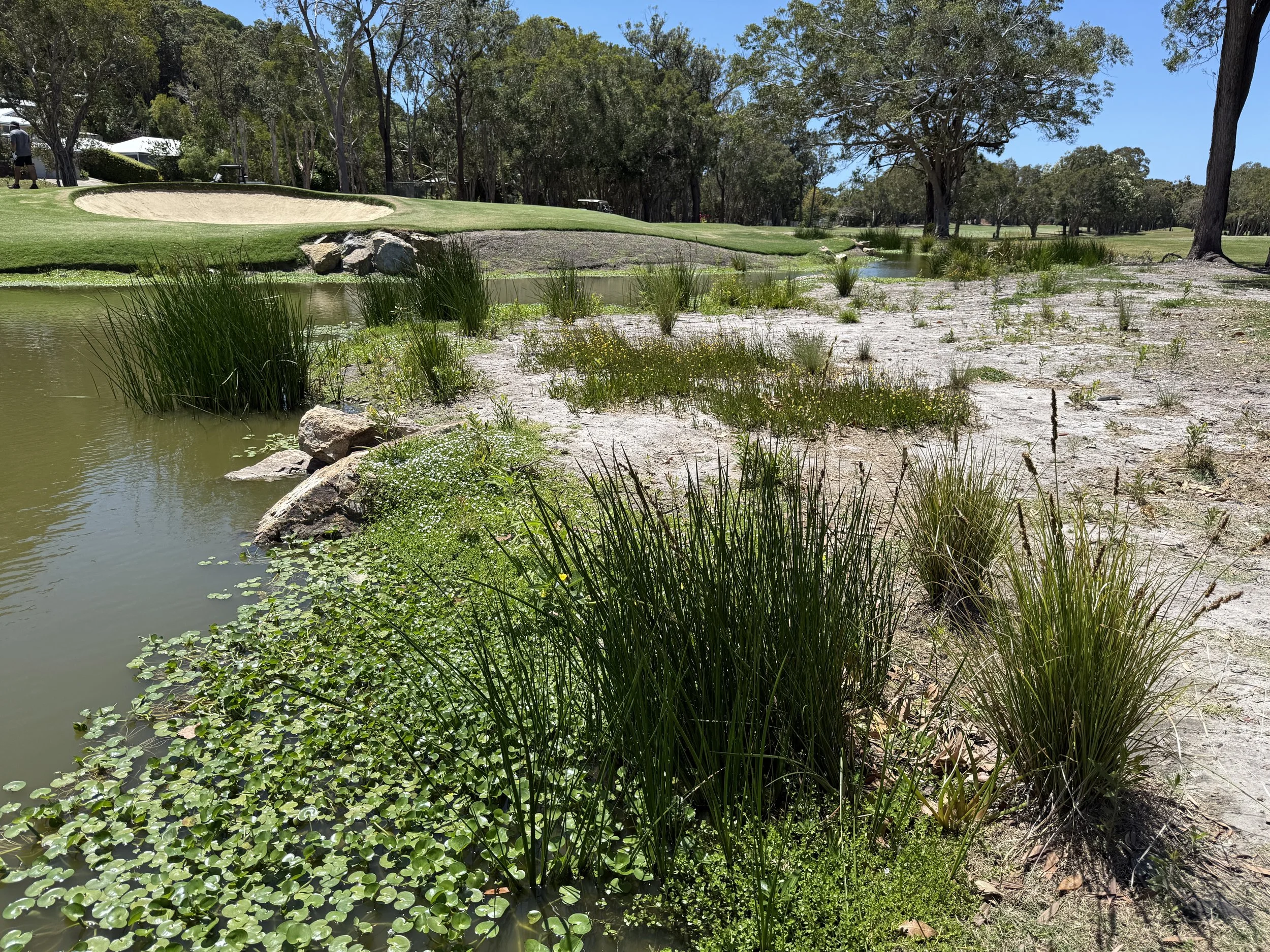 Why new nature laws matter to golf — and why Australian clubs should start paying attention