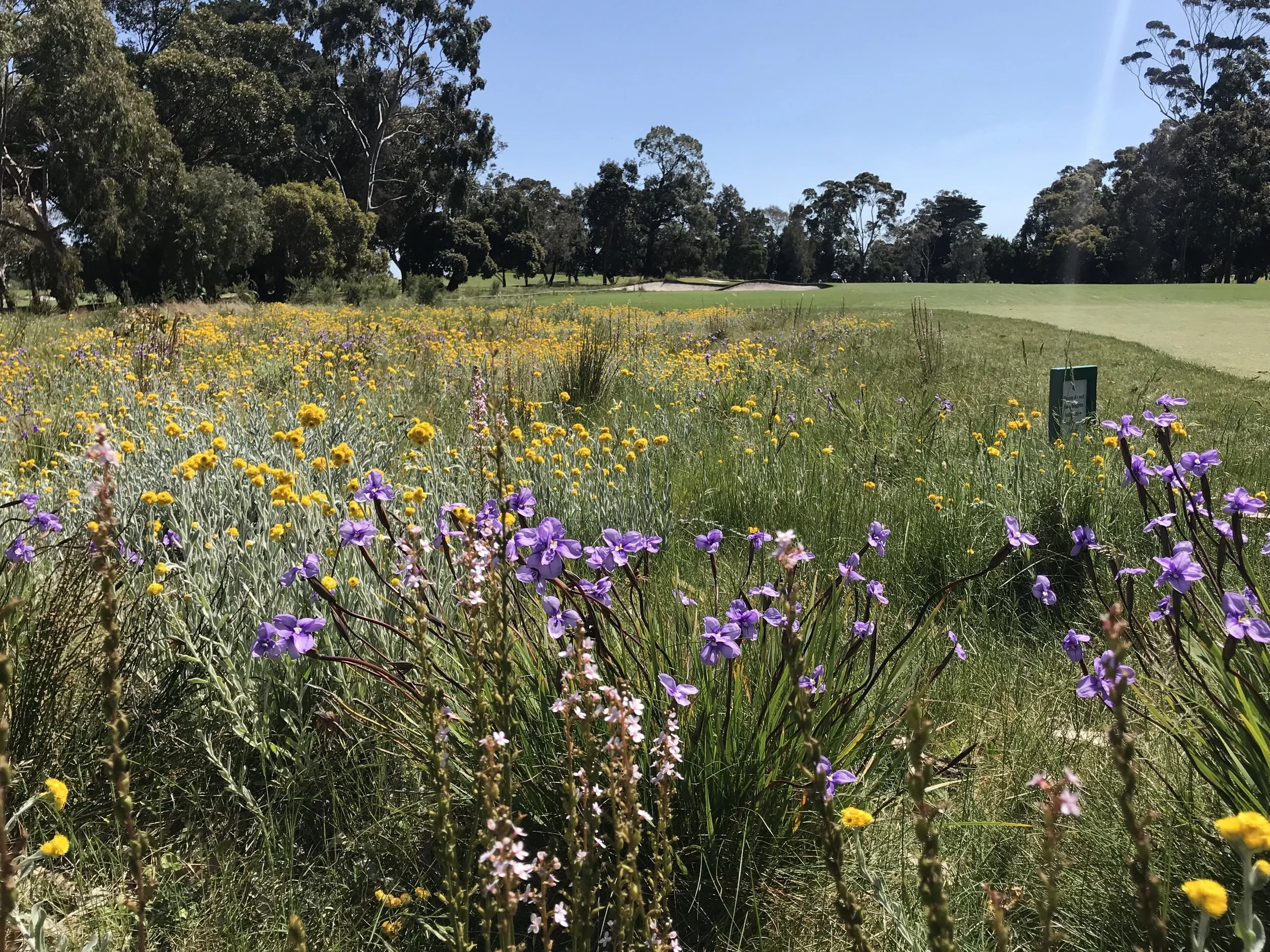 14th carry commonwealth  (1).JPG