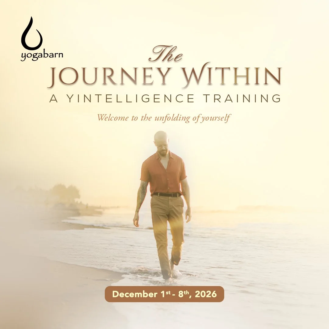 The Journey Within : A Yintelligence Training (50H)