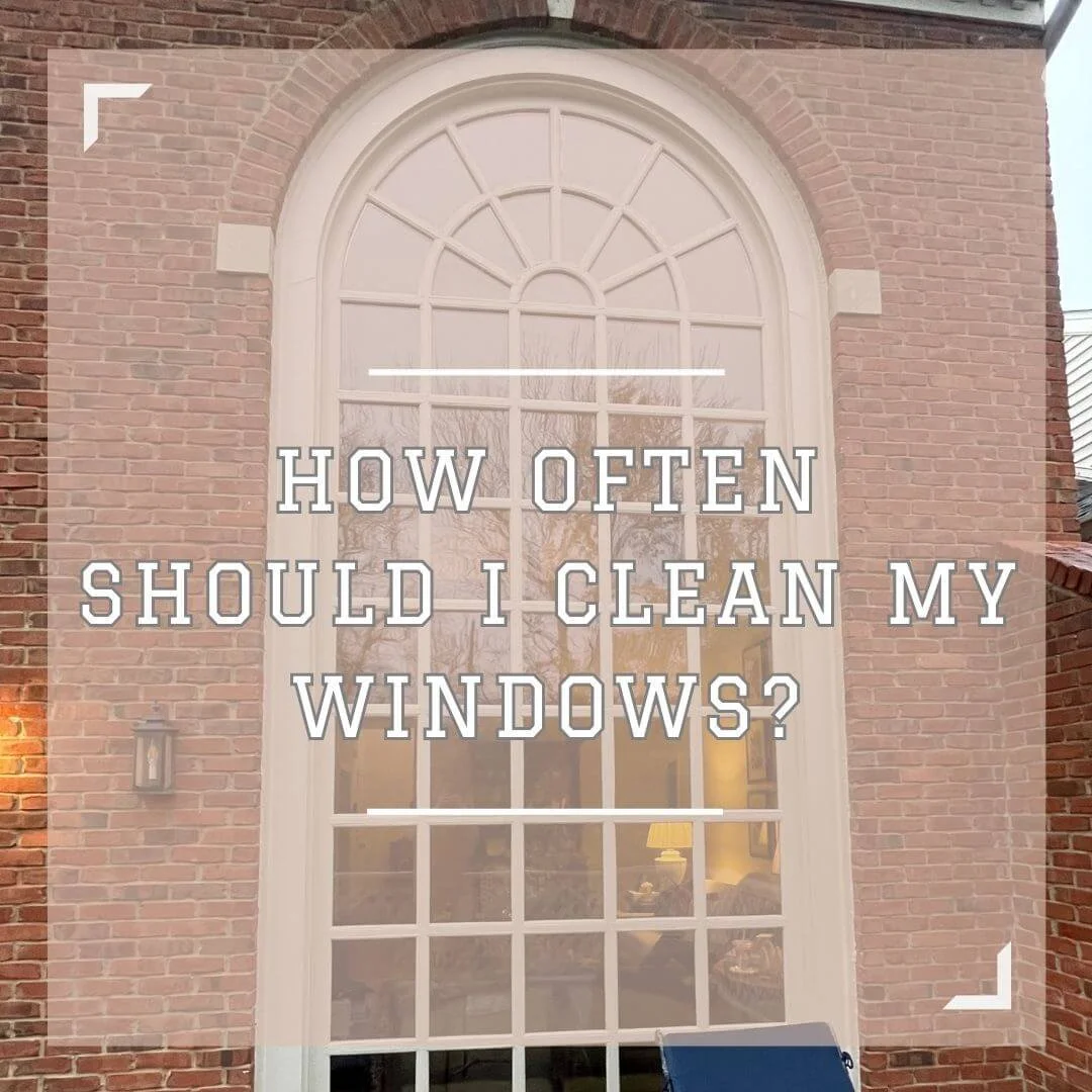 How Often Should I Clean My Windows? | Panoramic Window Cleaning