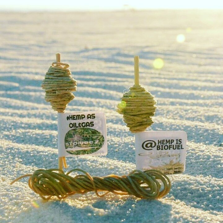 stoneez on beach.jpeg