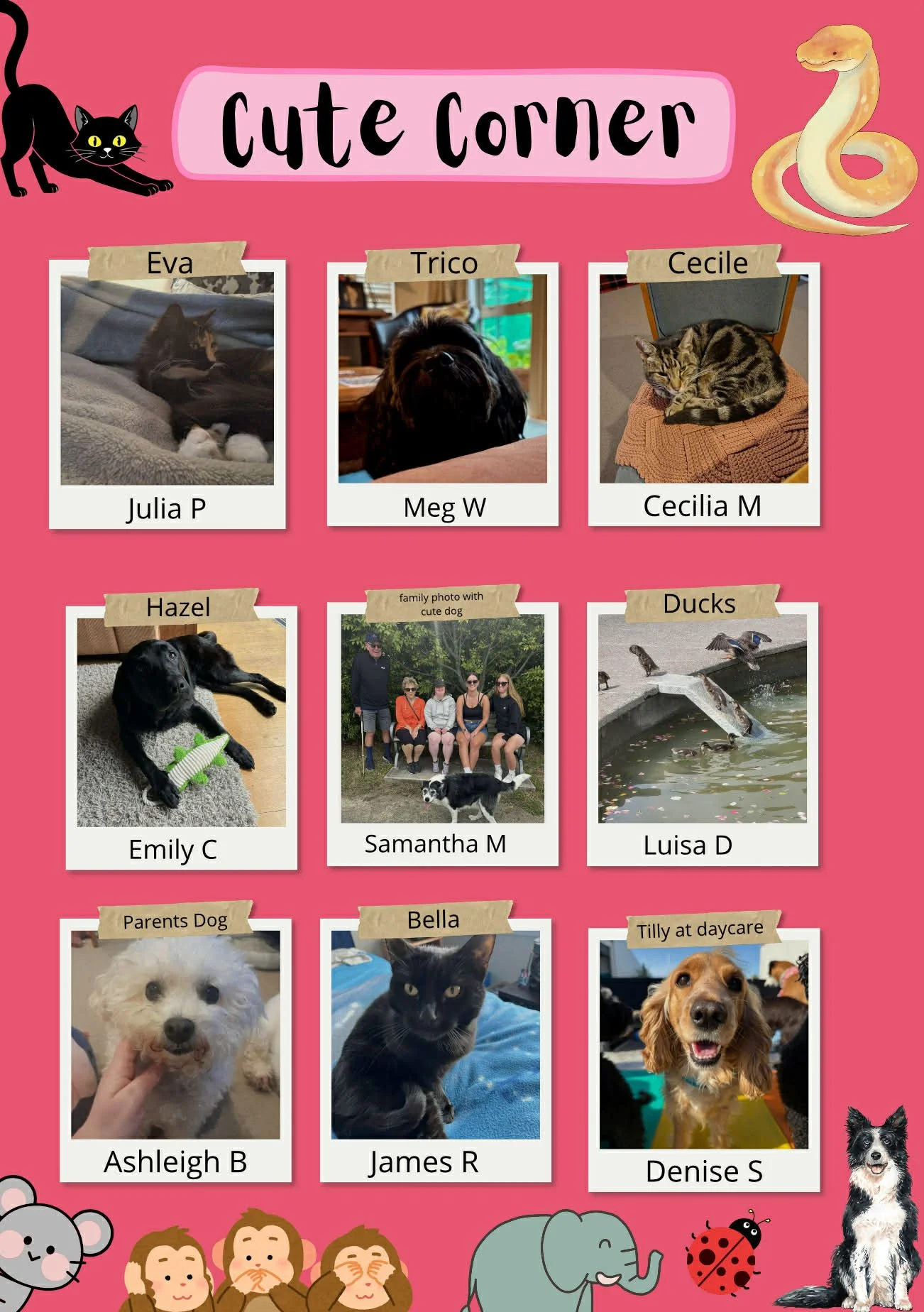 Creative Writing Newsletter Edition 15 24th February 2026 3.jpg
