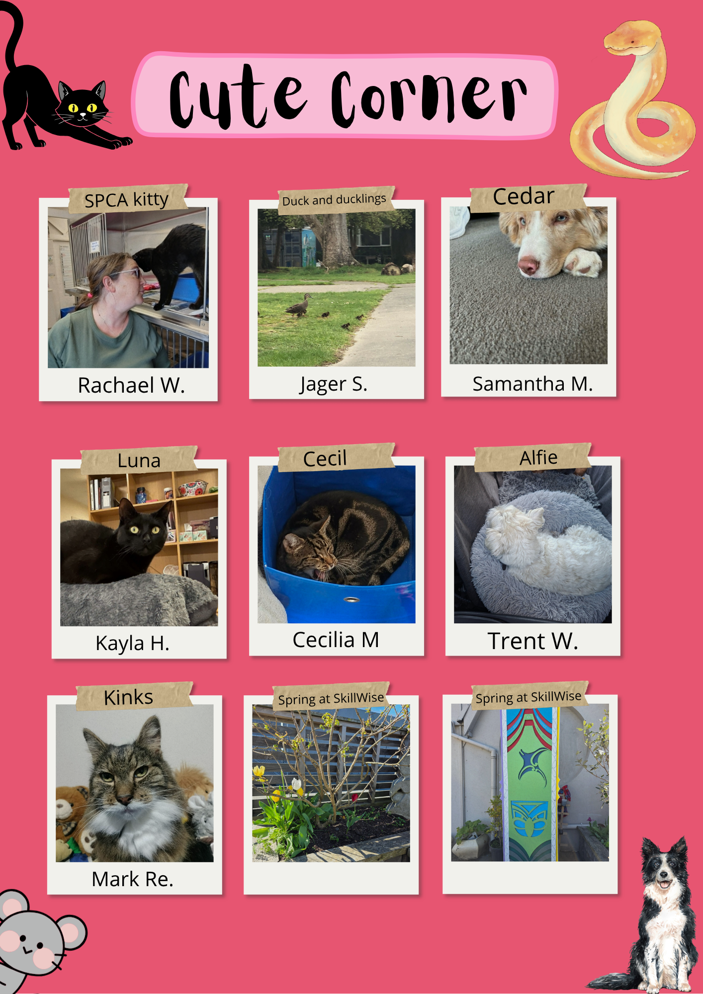 SkillWise Creative Writing Newsletter 23 September 2026 Edition 22  (4).png
