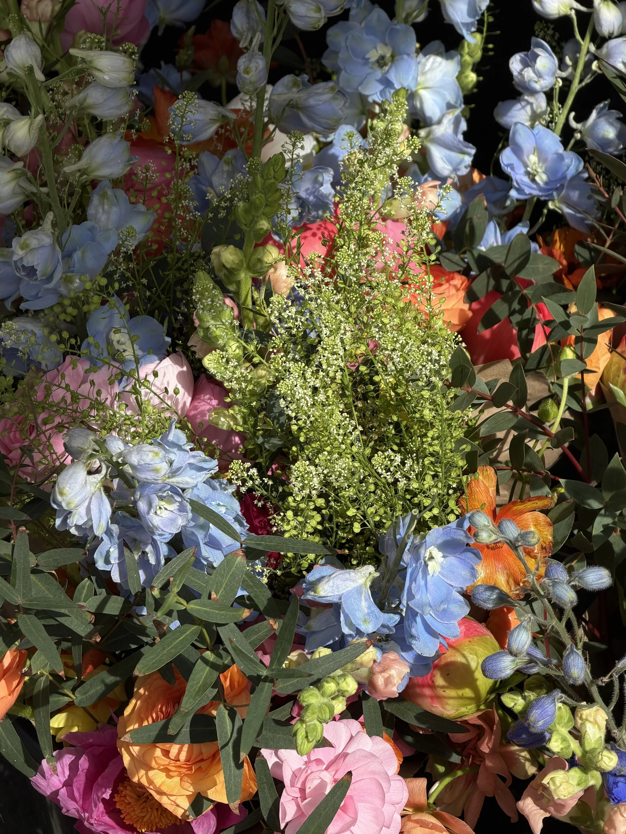 IMG_9092.jpeg