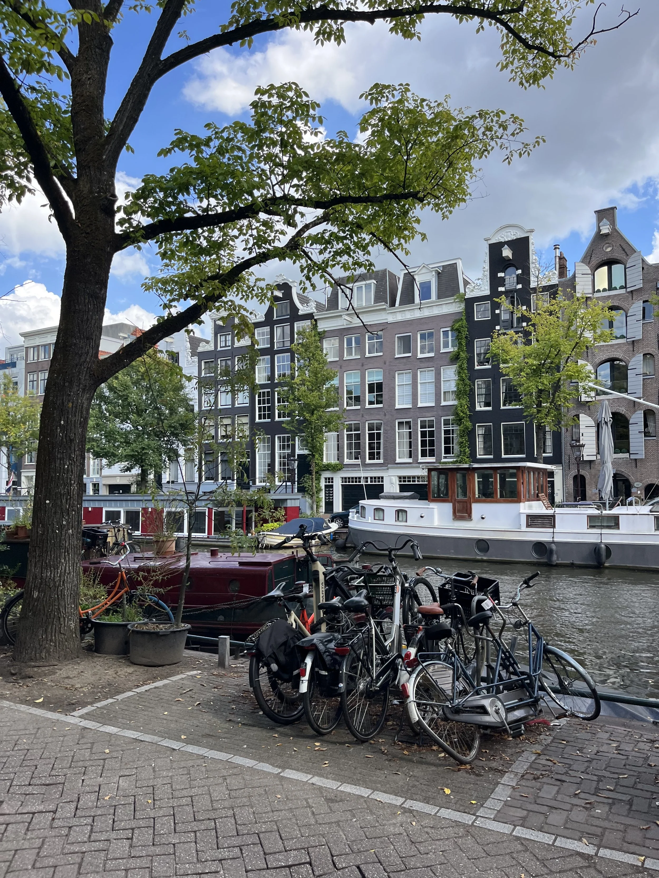IMG_5628.jpeg