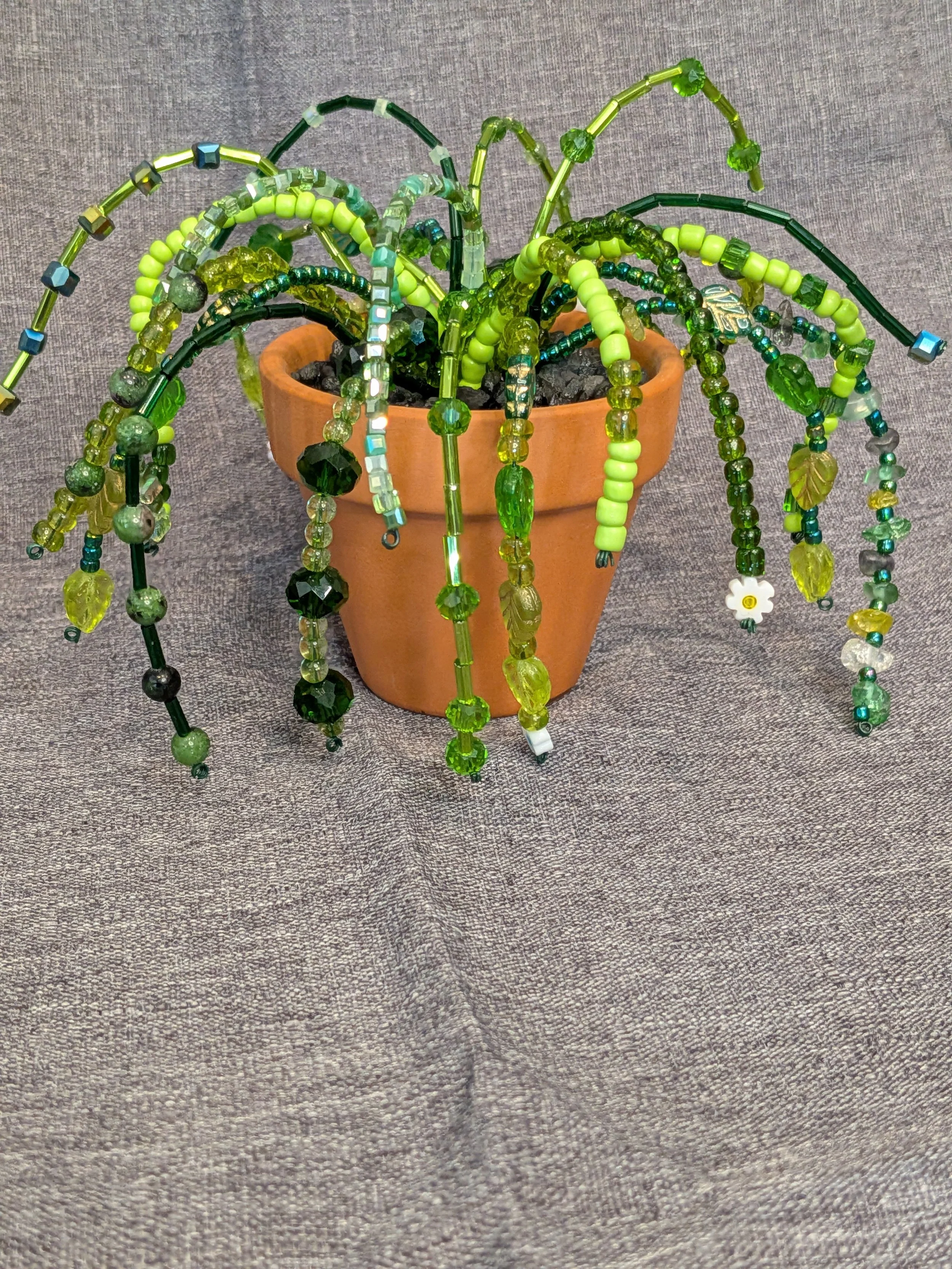 Viral Beaded Plant Class
