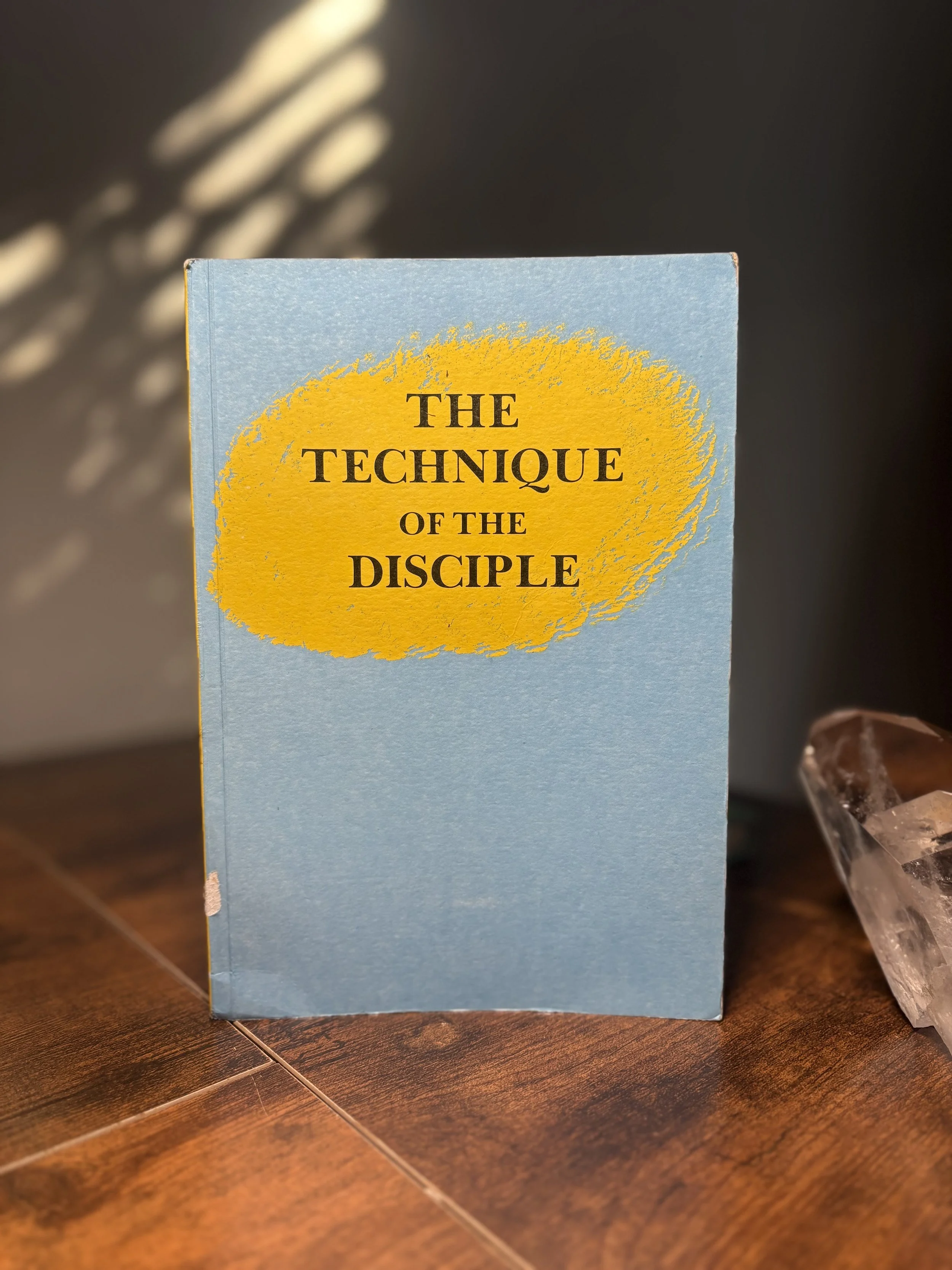 The Technique of the Disciple By Raymund Andrea