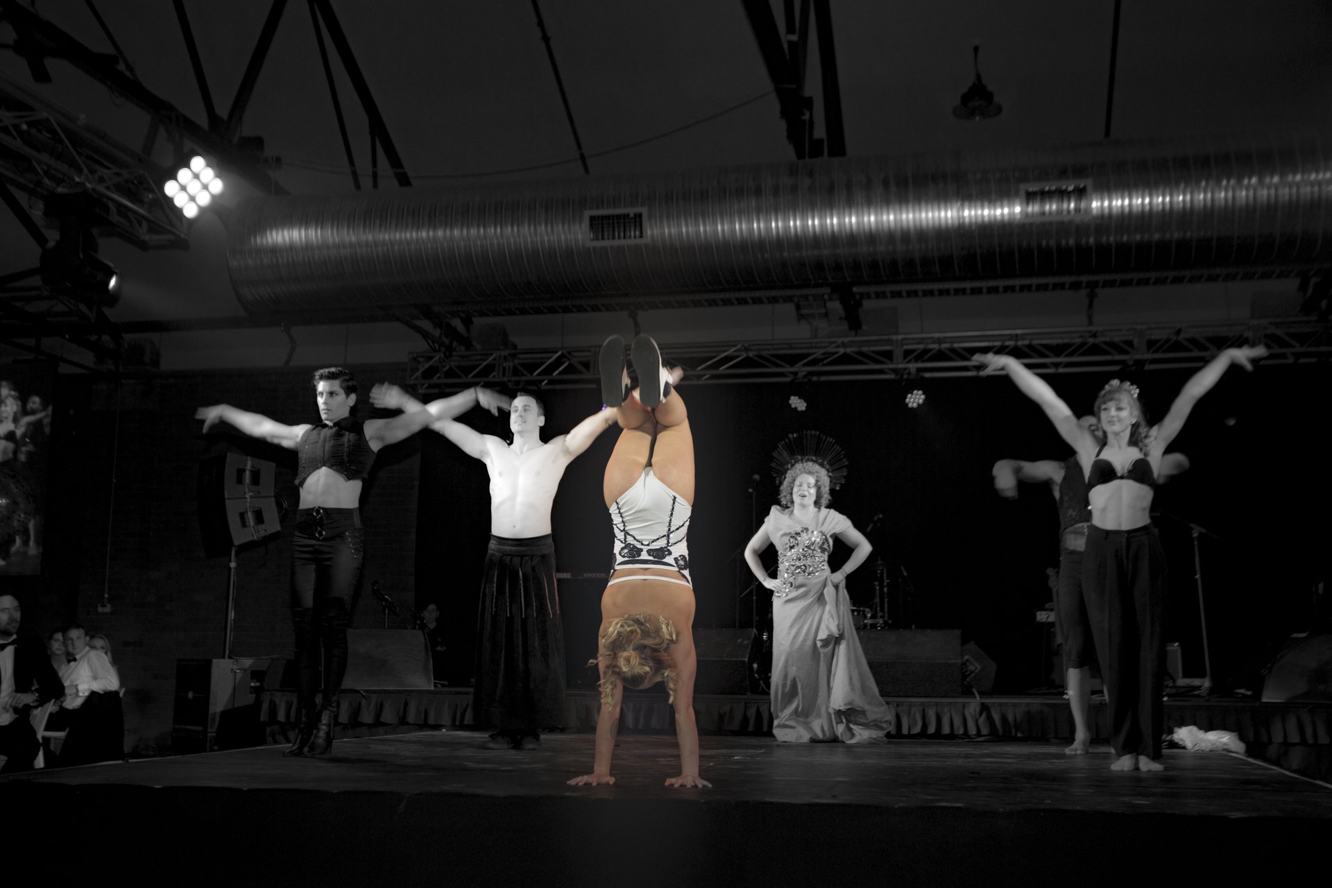 Barwon Health's under the big top Charity ball