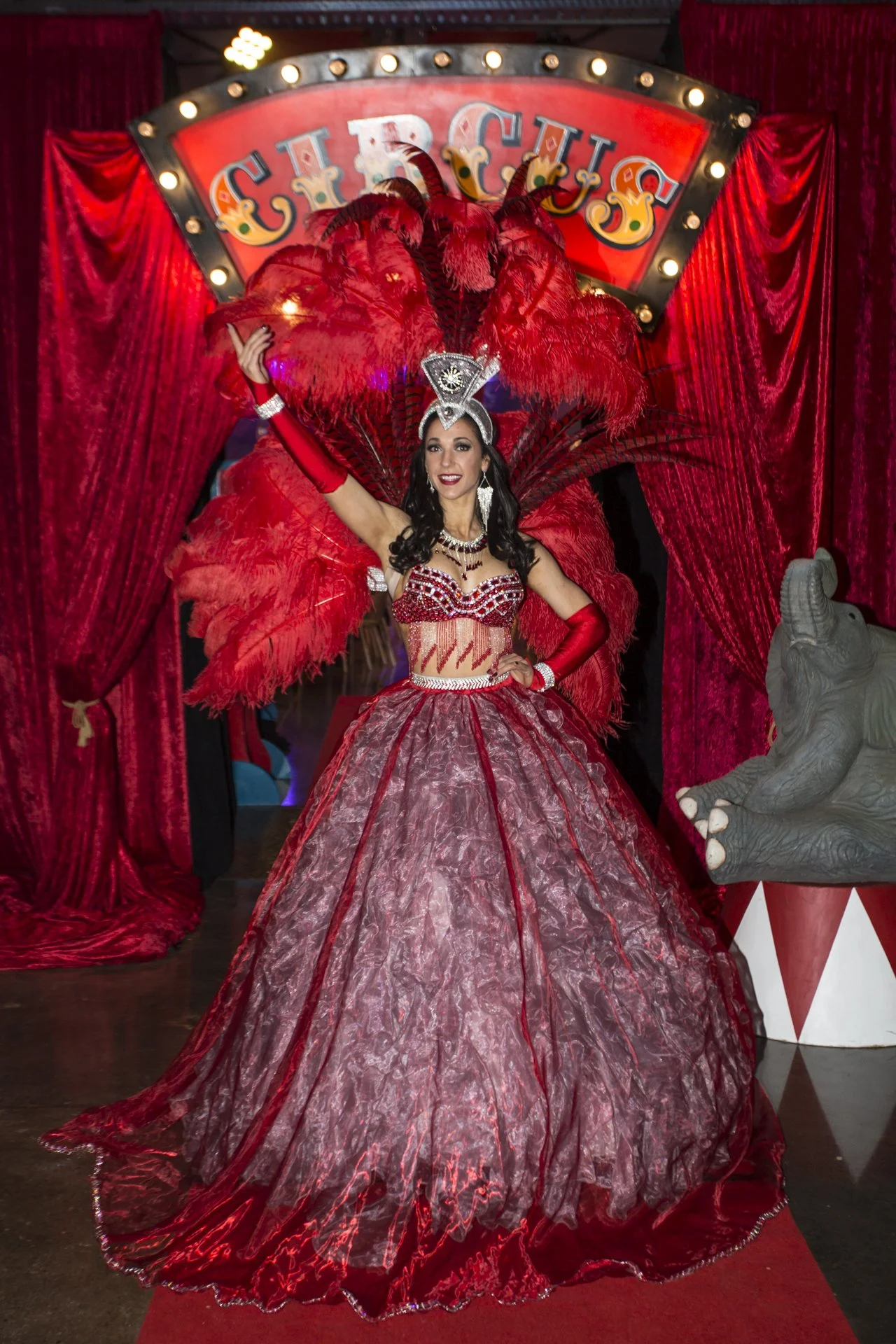 Barwon Health's under the big top Charity ball