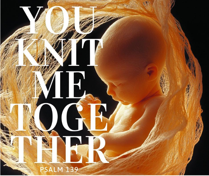 Sanctity of Life - Scripture verses and History that support LIFE