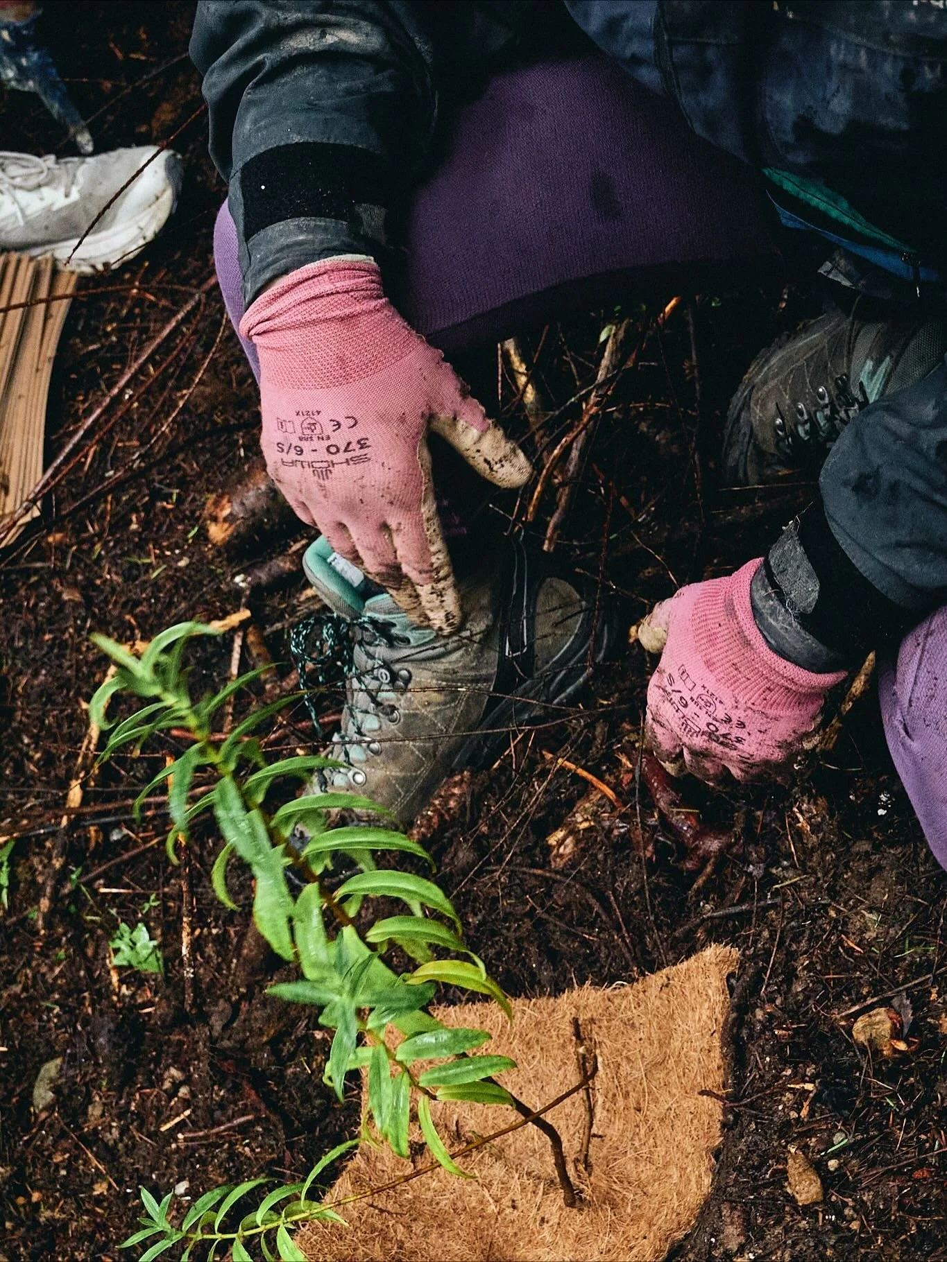 Put your hands in the dirt with us this weekend to help clear wilding pines and spruce up Mini Dream for the summer 🌱 meeting at the centre bench, we&rsquo;ll break into groups for our mahi and then come back together for some kai. Don&rsquo;t forge