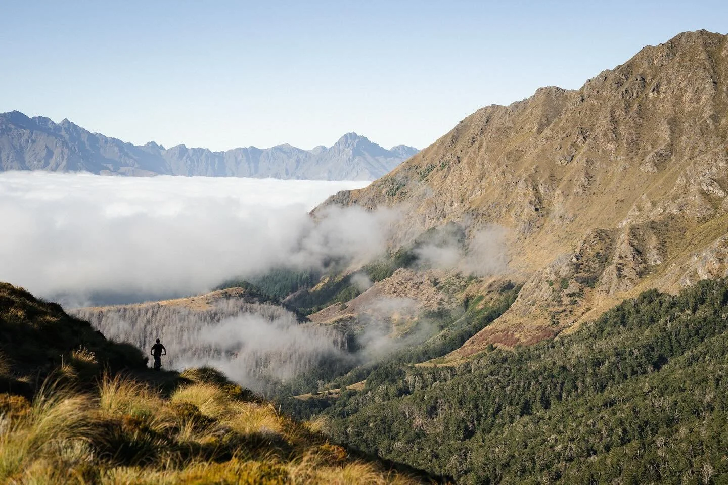 ​​Te-taumata-o-Hakitekura (Ben Lomond) and the surrounding reserve offer invaluable recreational opportunities to the full-time residents of Queenstown. This area is a rare, accessible alpine environment where locals regularly hike, run, mountain bik