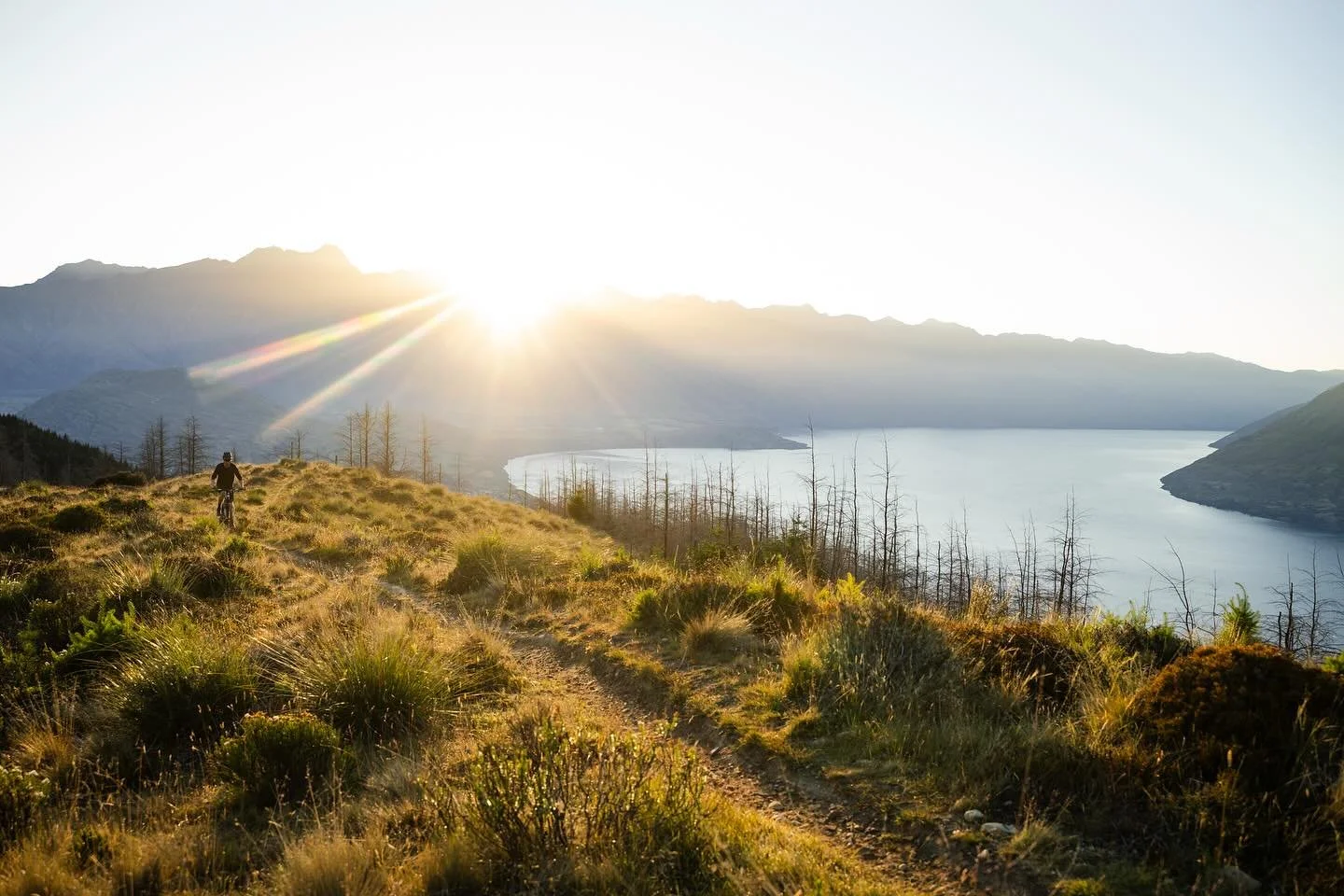 We see the Ben Lomond &amp; Bowen Peak fast track proposal as a threat to democratic process and our local environment. 

Tāhuna (Queenstown) is too special to spoil. And the reason it&rsquo;s special is because of its beautiful landscape and accessi