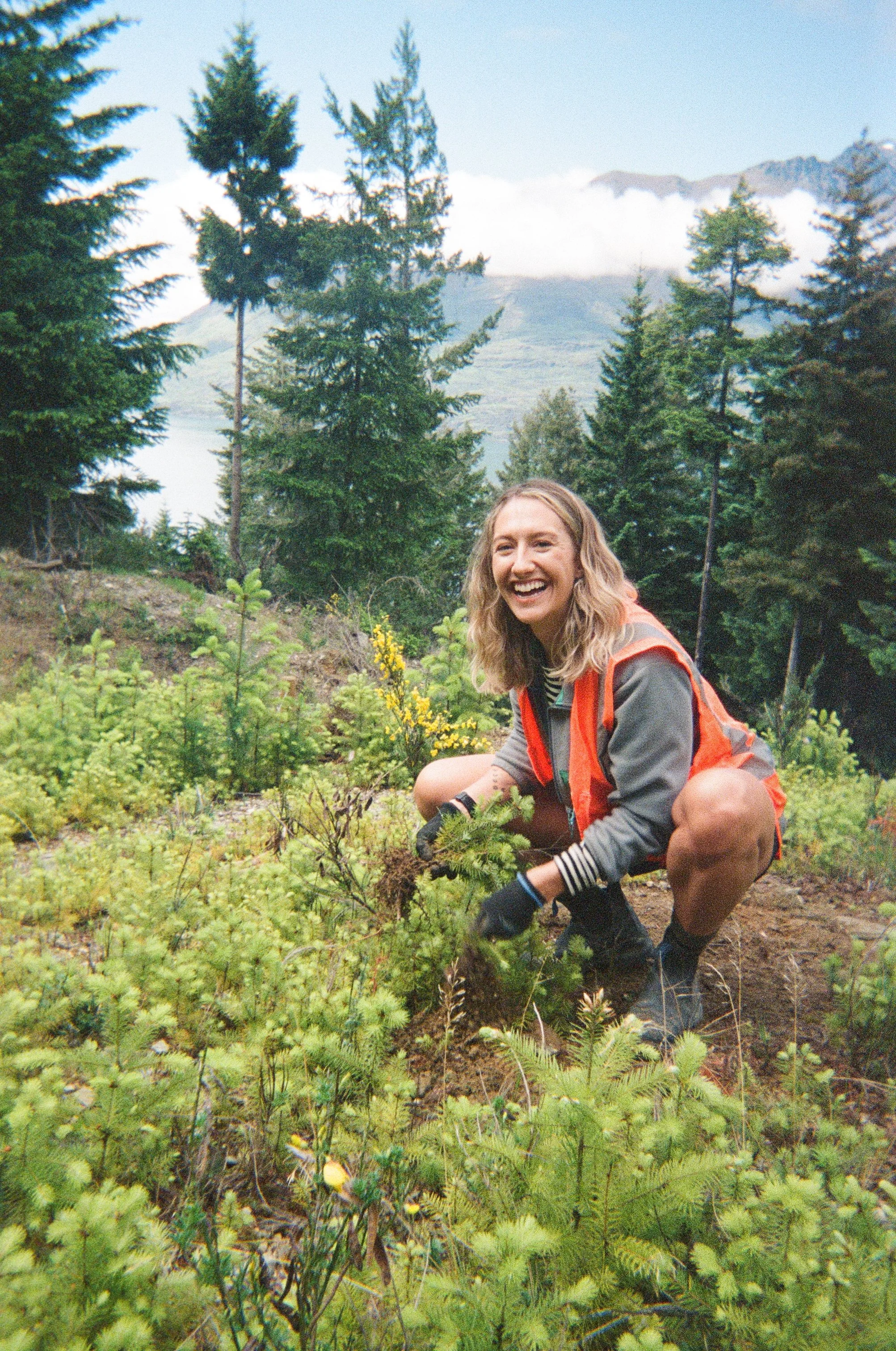 Planting Days &amp; Wilding Pine Chops