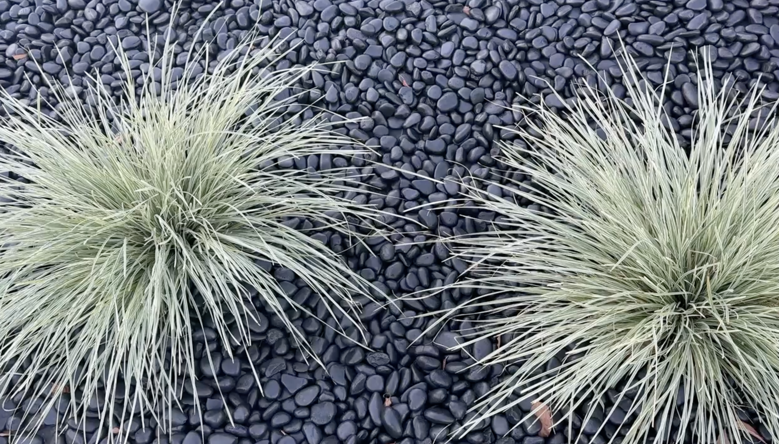 Screenshot 2025-12-03 at 10.58.01 AM.png