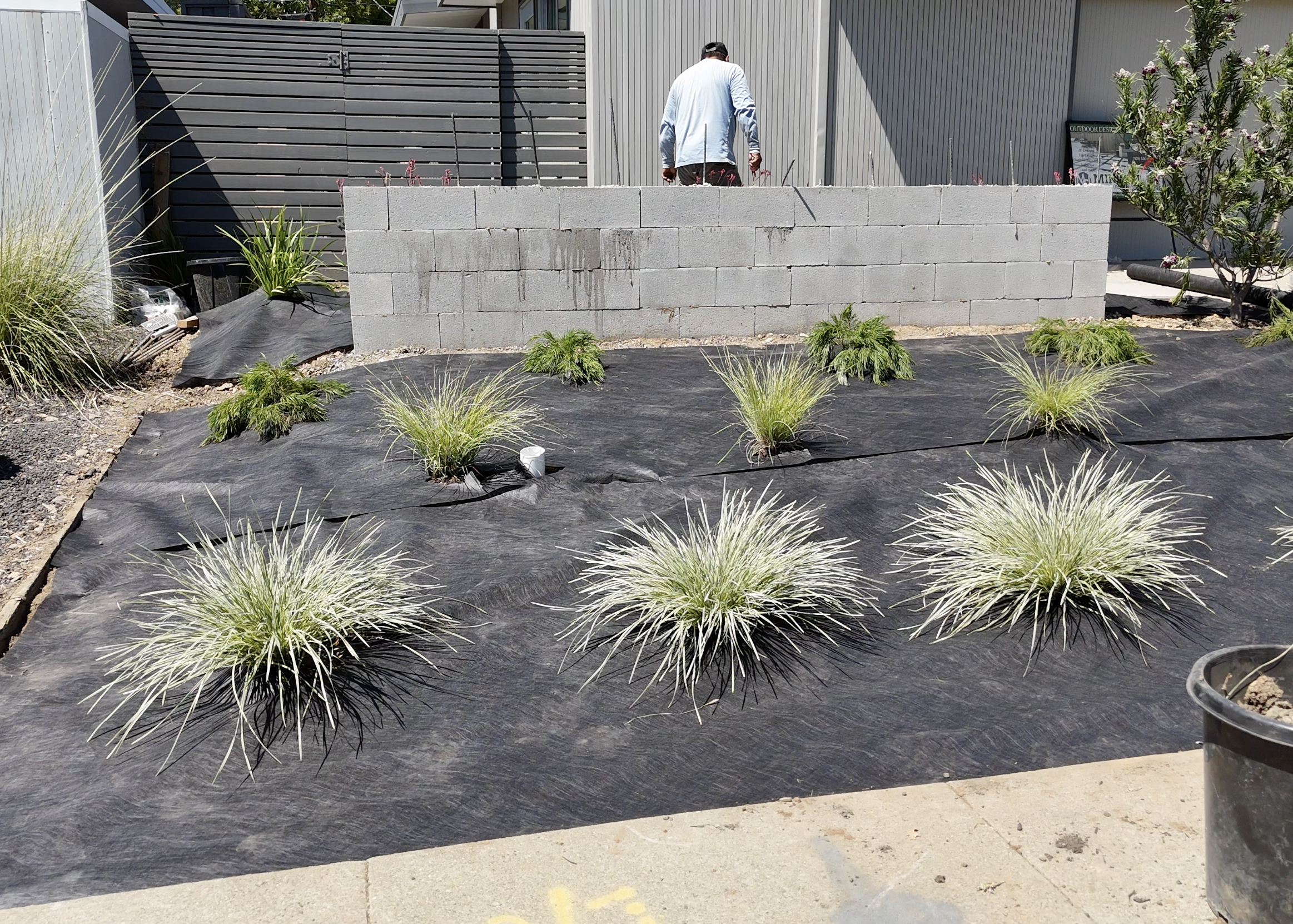 Screenshot 2025-12-05 at 12.16.12 PM.png