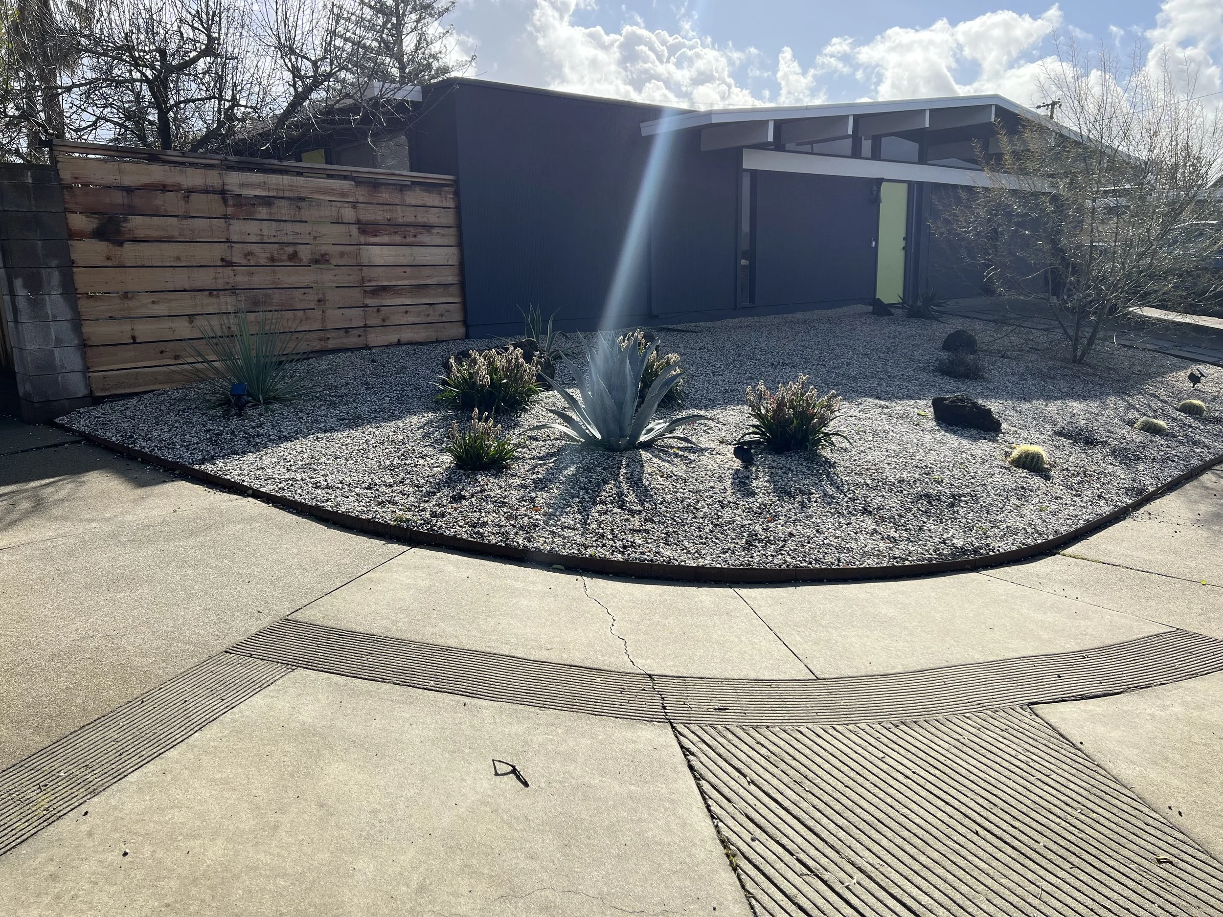 Copy of IMG_1897.jpeg