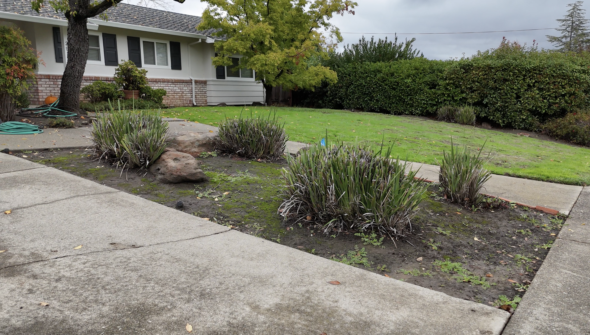 Screenshot 2026-04-01 at 9.40.18 AM.png