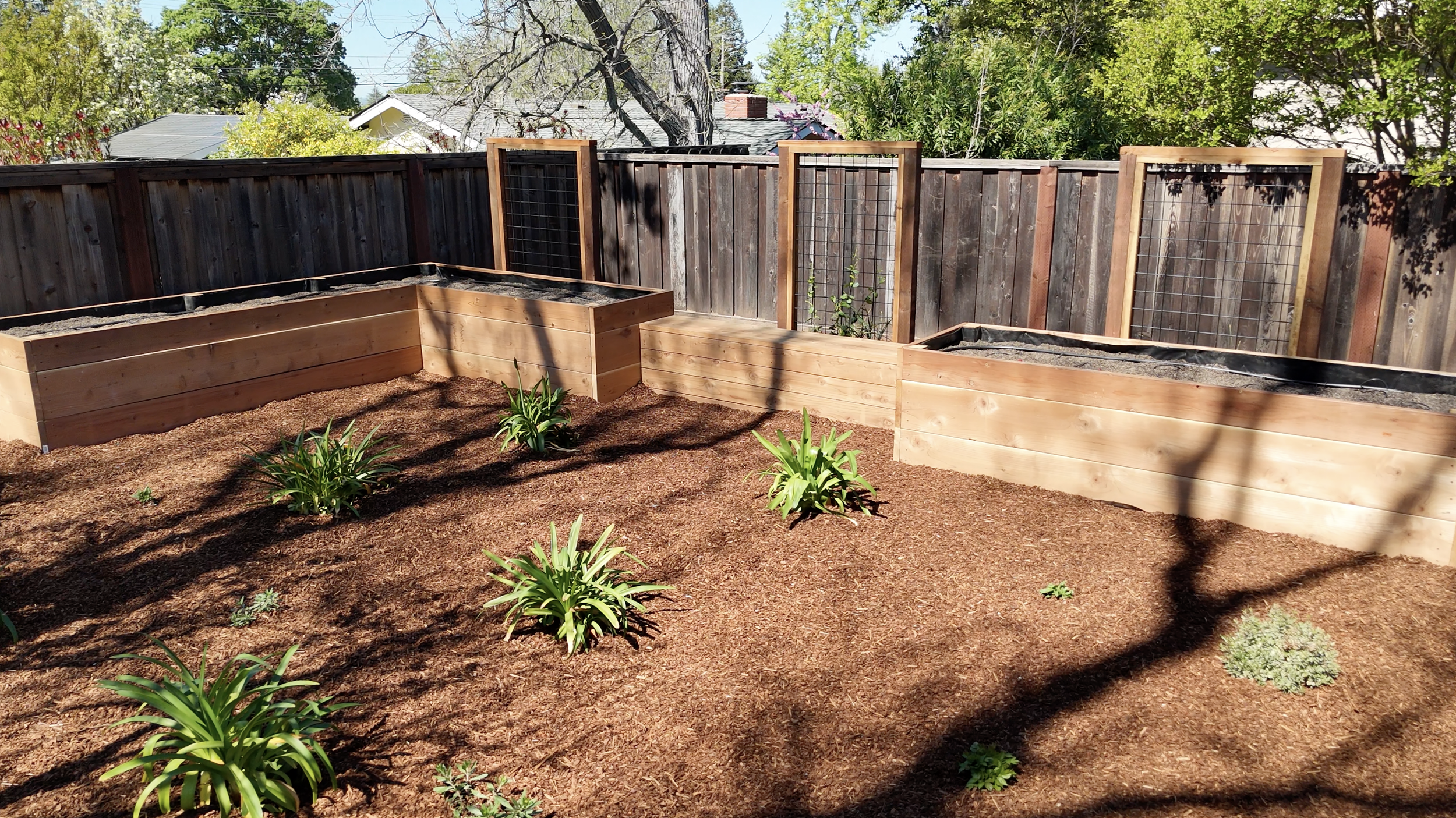 Screenshot 2026-04-01 at 10.04.30 AM.png