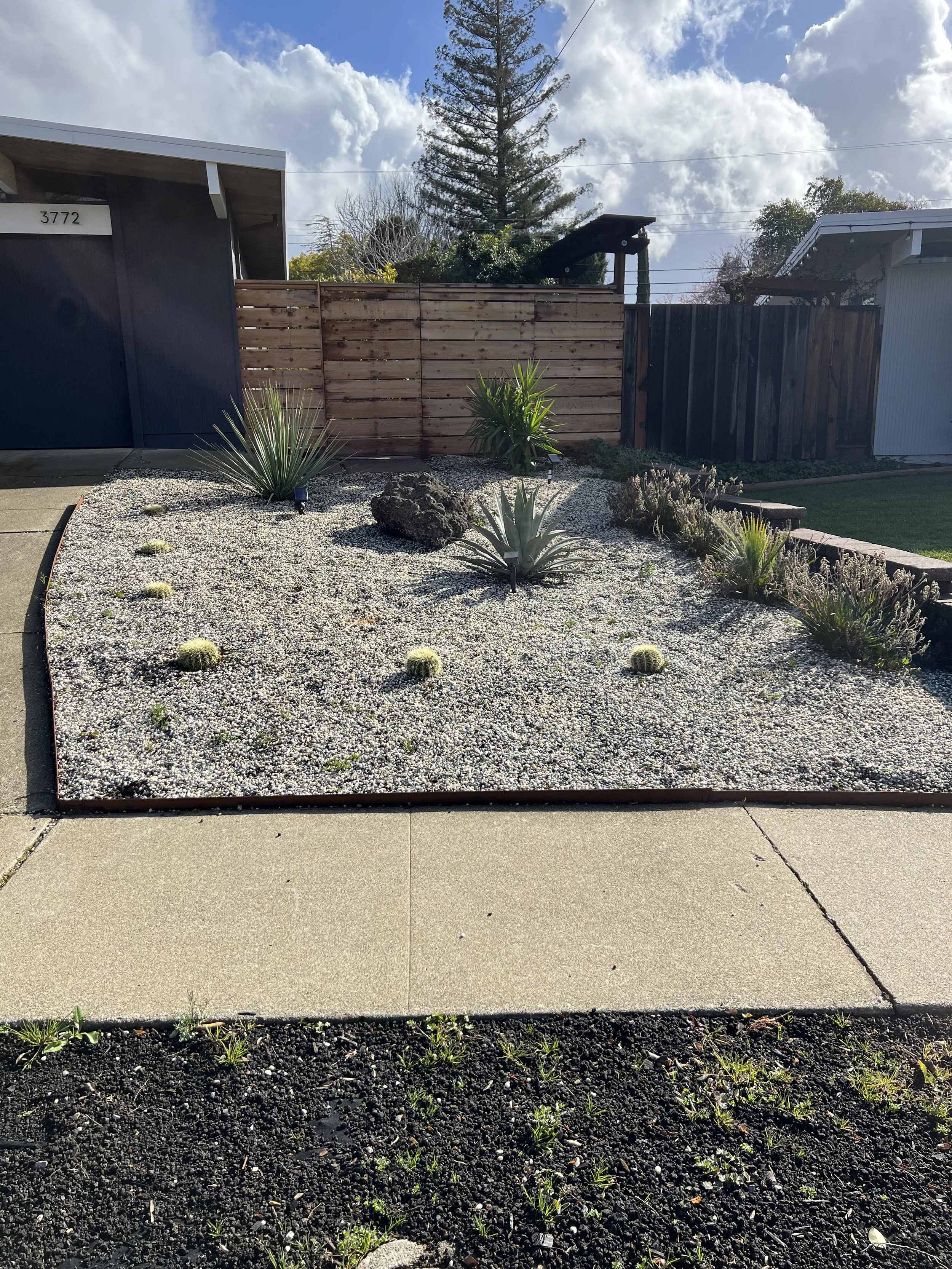 Copy of IMG_1899.jpeg