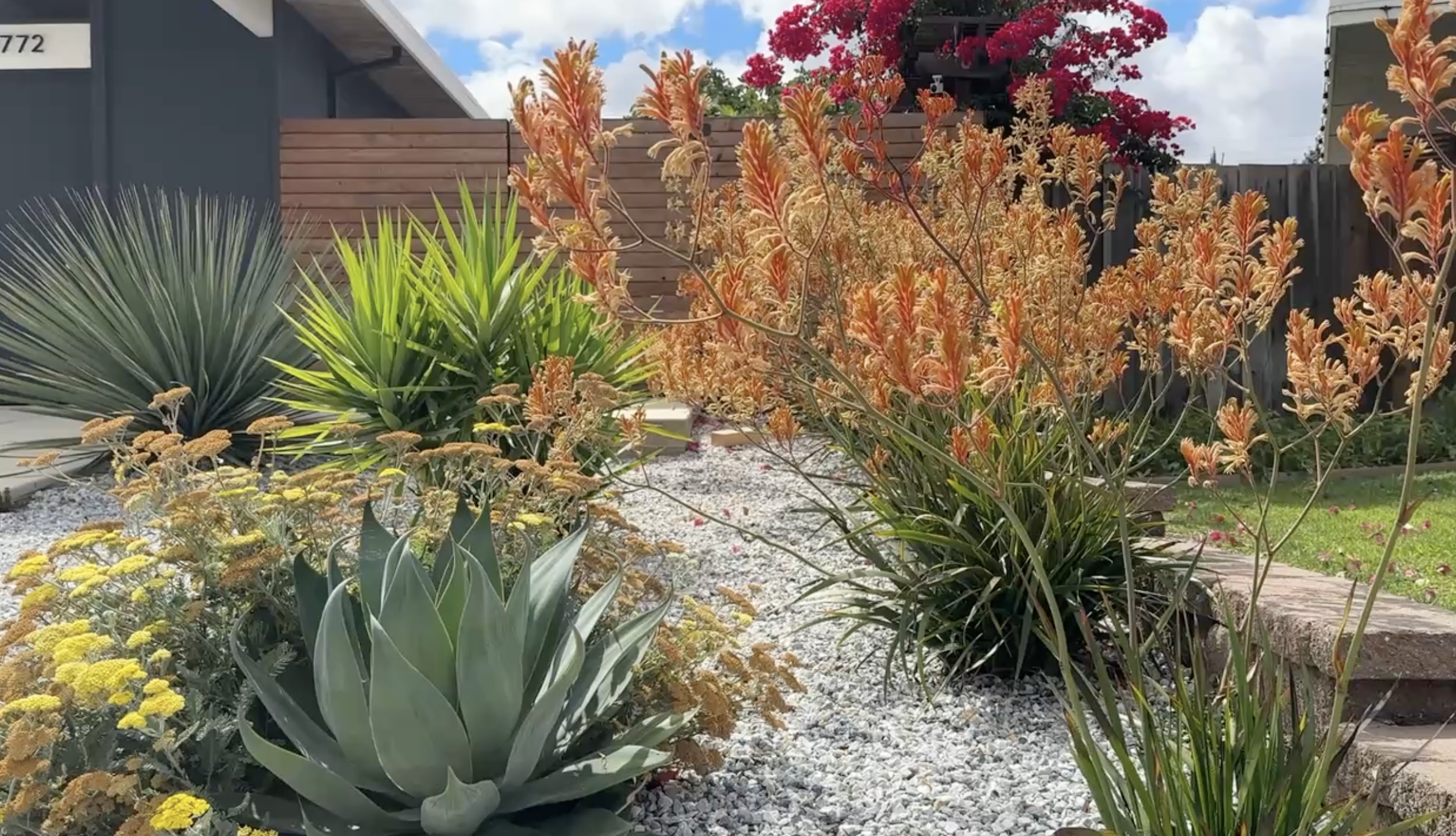 Screenshot 2025-12-05 at 1.06.04 PM.png