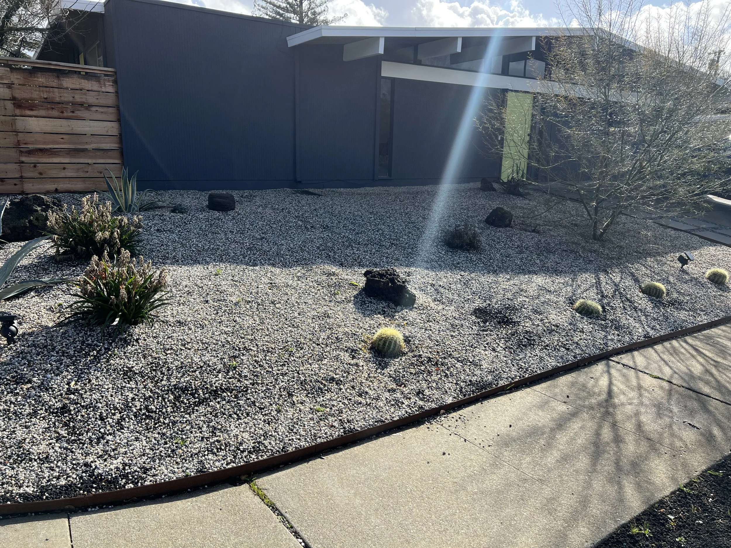 Copy of IMG_1896.jpeg