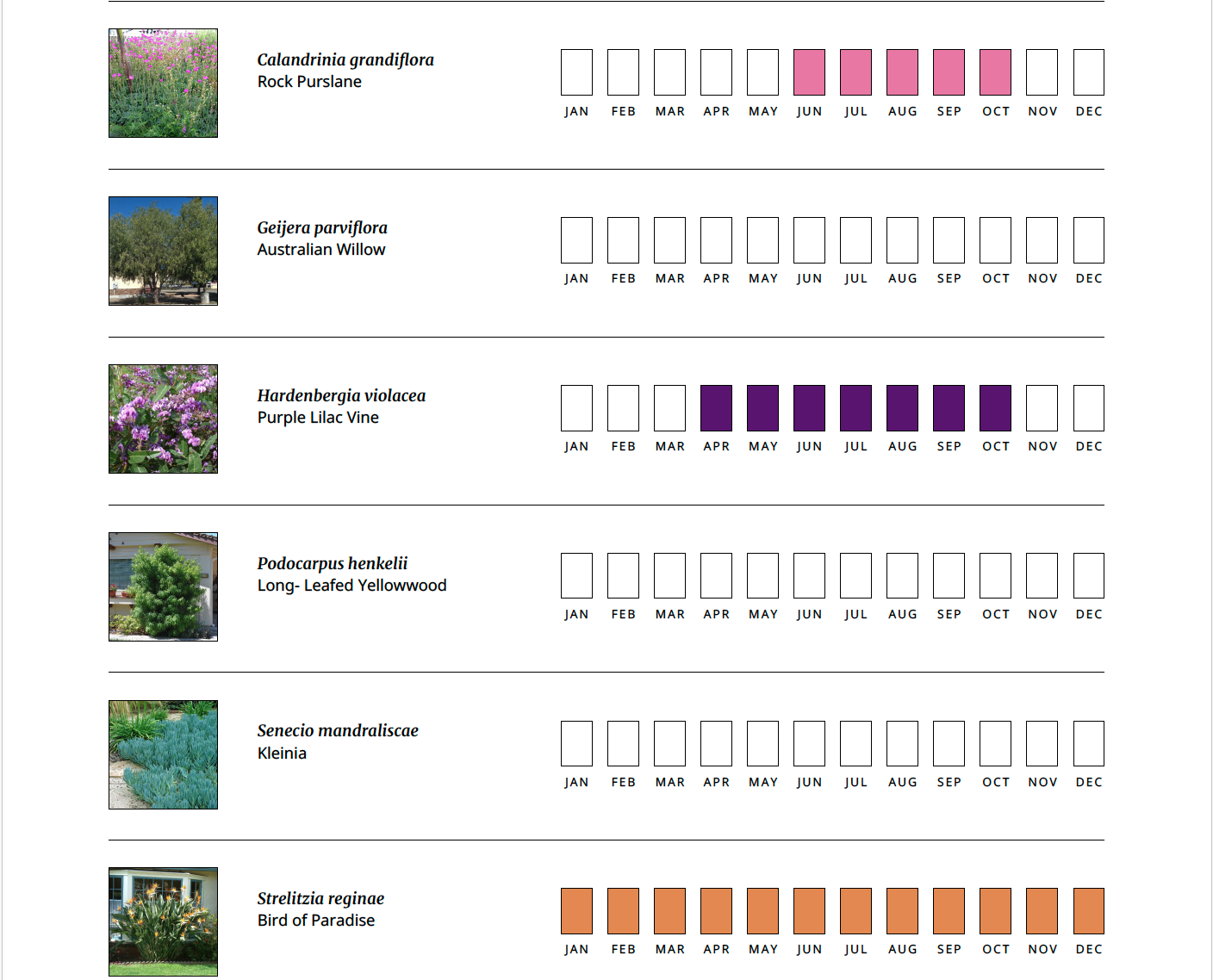 Screenshot 2026-01-07 at 3.25.03 PM.png