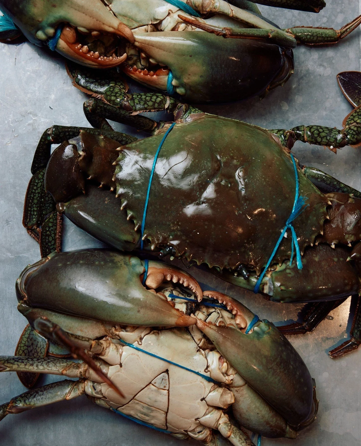 For celebrations this week &mdash; chilli mud crab with longevity noodles, chilli, fried garlic, spring onion⁠
