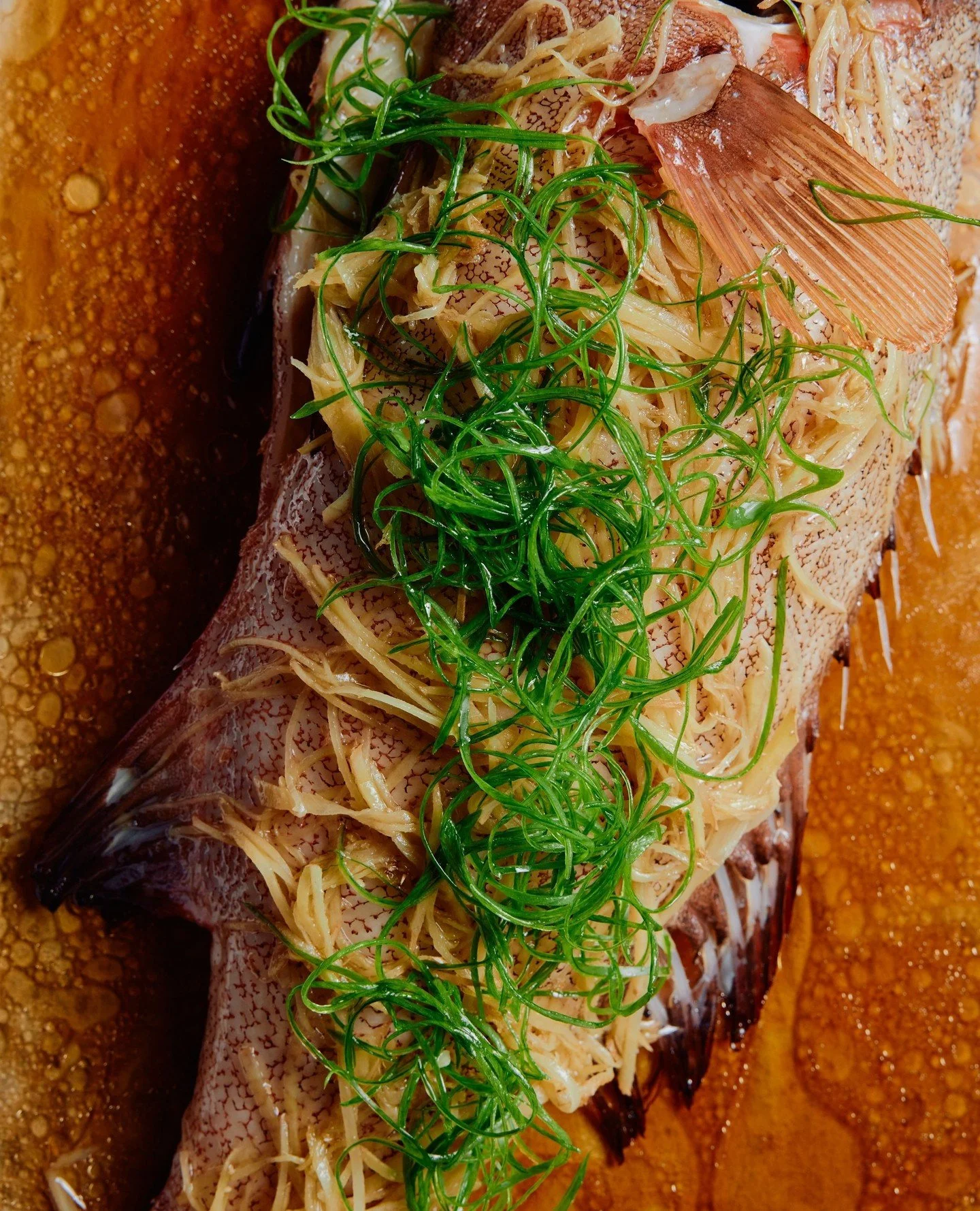 Every Sunday of the month, we centre the table around a seasonal hero dish, served alongside our &agrave; la carte menu. Designed for sharing, it changes monthly to showcase the very best produce at its peak.⁠
⁠
This June, join us for whole steamed c