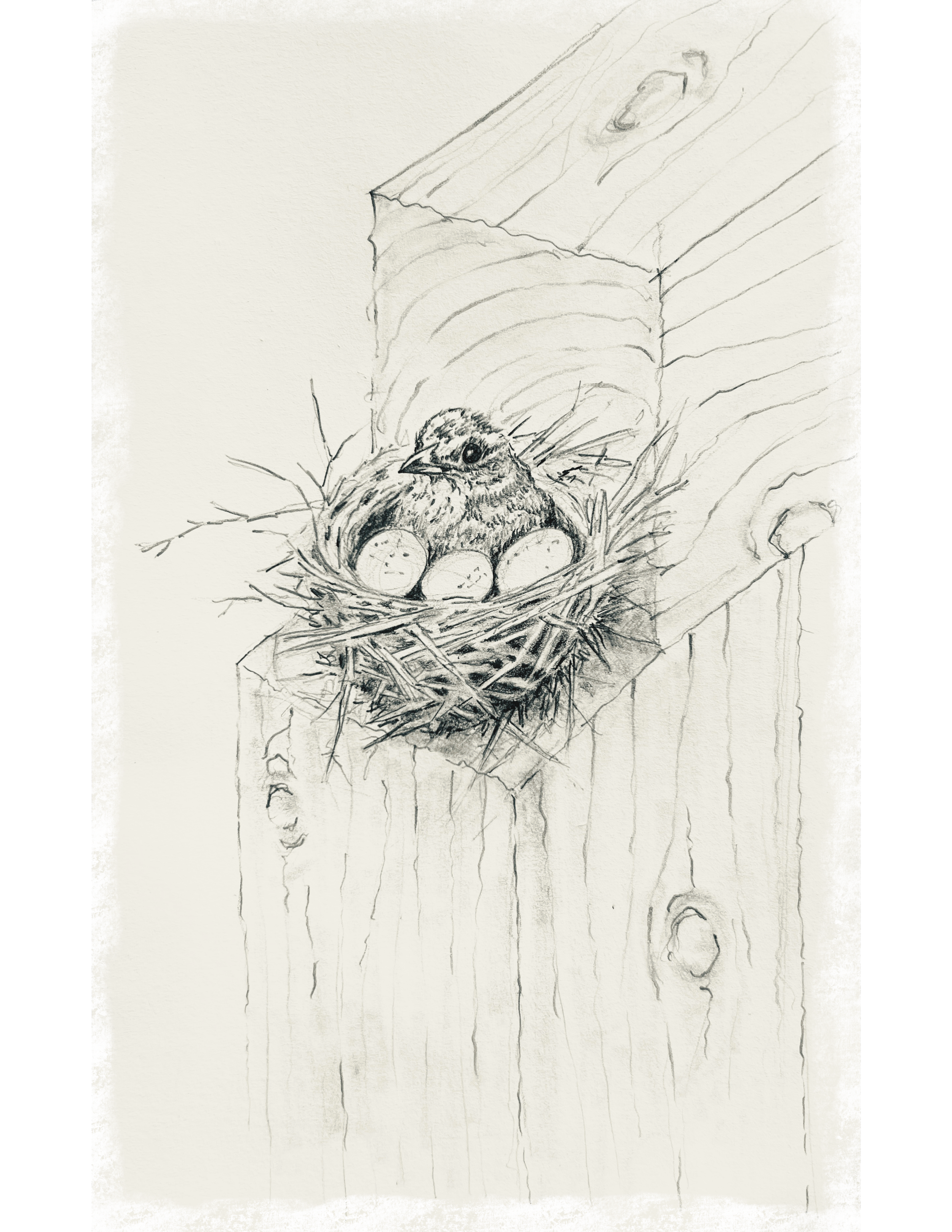 Untitled_Artwork 9.png