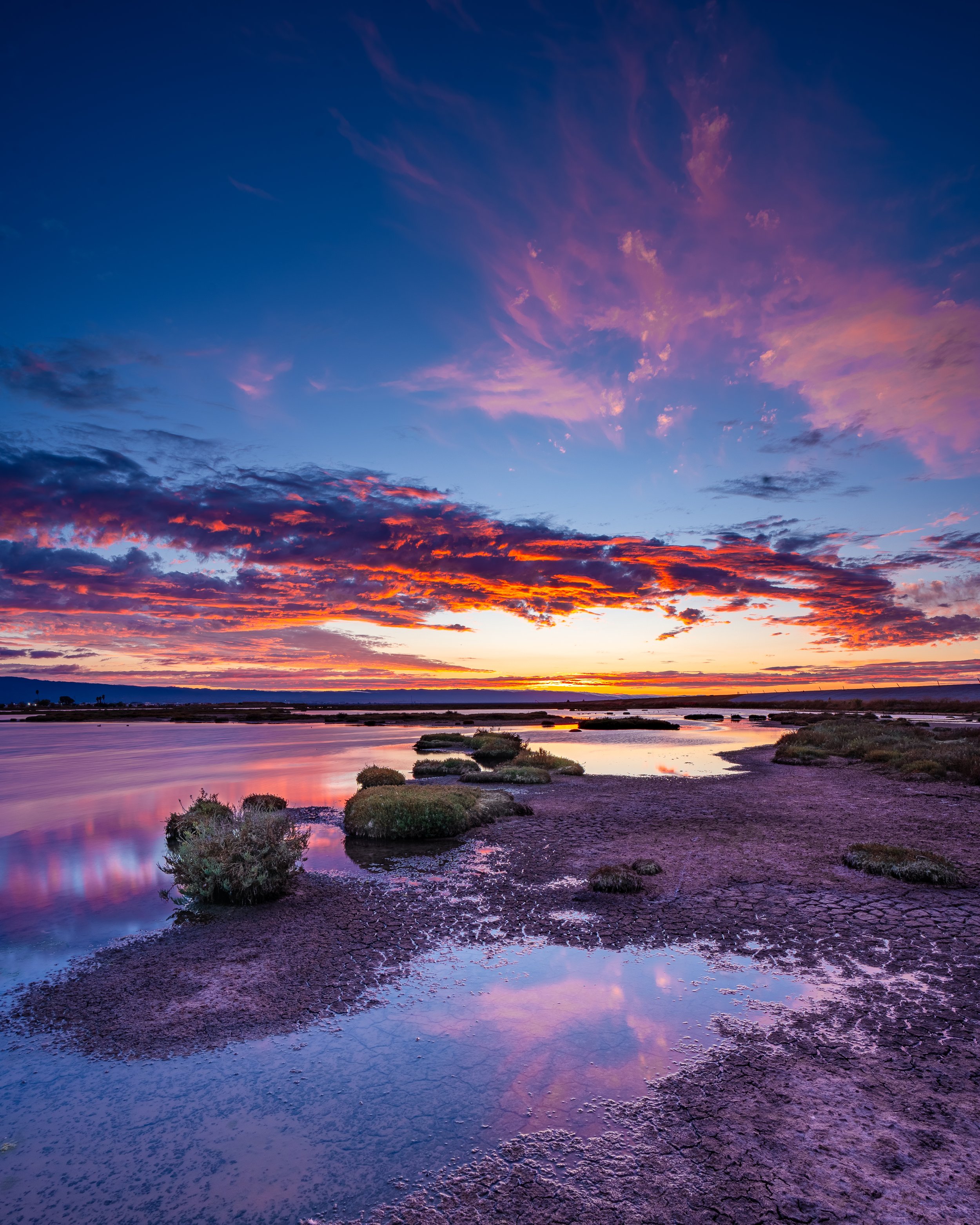 Don Edwards San Francisco Bay Wildlife Refuge (Alviso, CA)