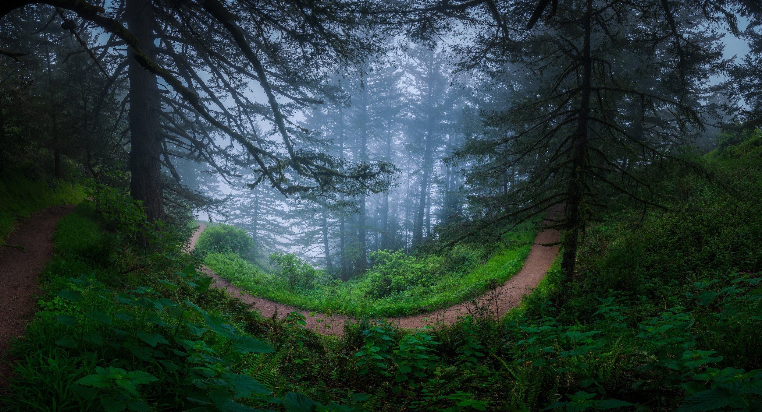Purisma Creek Open Space Preserve (Santa Cruz Mountains)