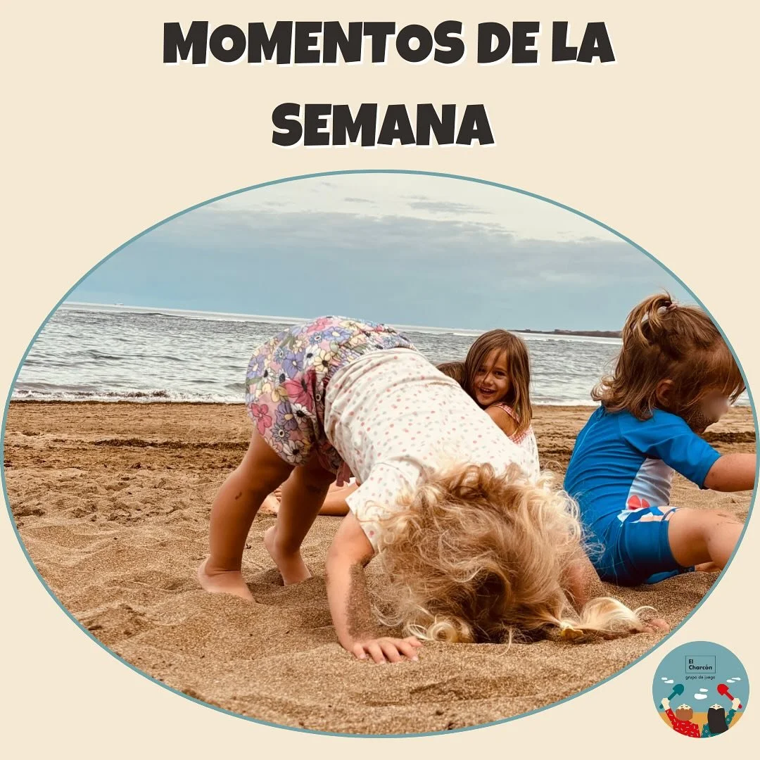 .
🤍 Las ma&ntilde;anas de septiembre en El Charc&oacute;n 🤍
.
.
.
.
.
.
.
.
.
.
#grupodejuegoelcharcon 
#grupodejuegoalairelibre 
#lasplamasdegrancanaria 
#playadelascanteras 
#parquepinoapolinario 
#pedagogiasactivas 
#educaci&oacute;n 
#naturalez