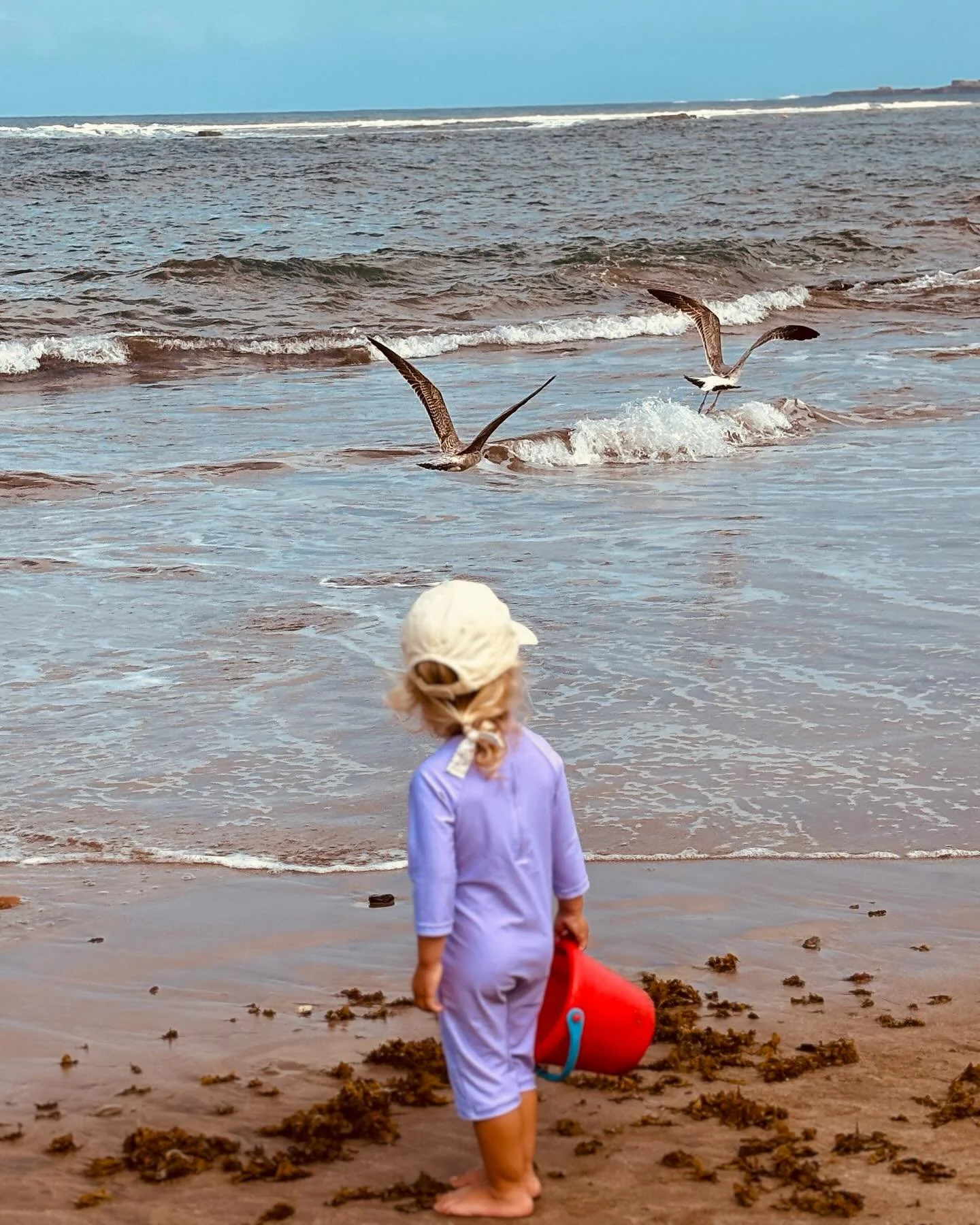 .
La se&ntilde;ora gaviota pesc&oacute; un pescadito,

vinieron sus amigas a pedirle un poquito,

pero la se&ntilde;ora gaviota, despleg&oacute; sus alas 🪽 

y se fue volando y volando detr&aacute;s de La Barra&hellip;
.

.
.
.
.
.
#grupodejuegoelch
