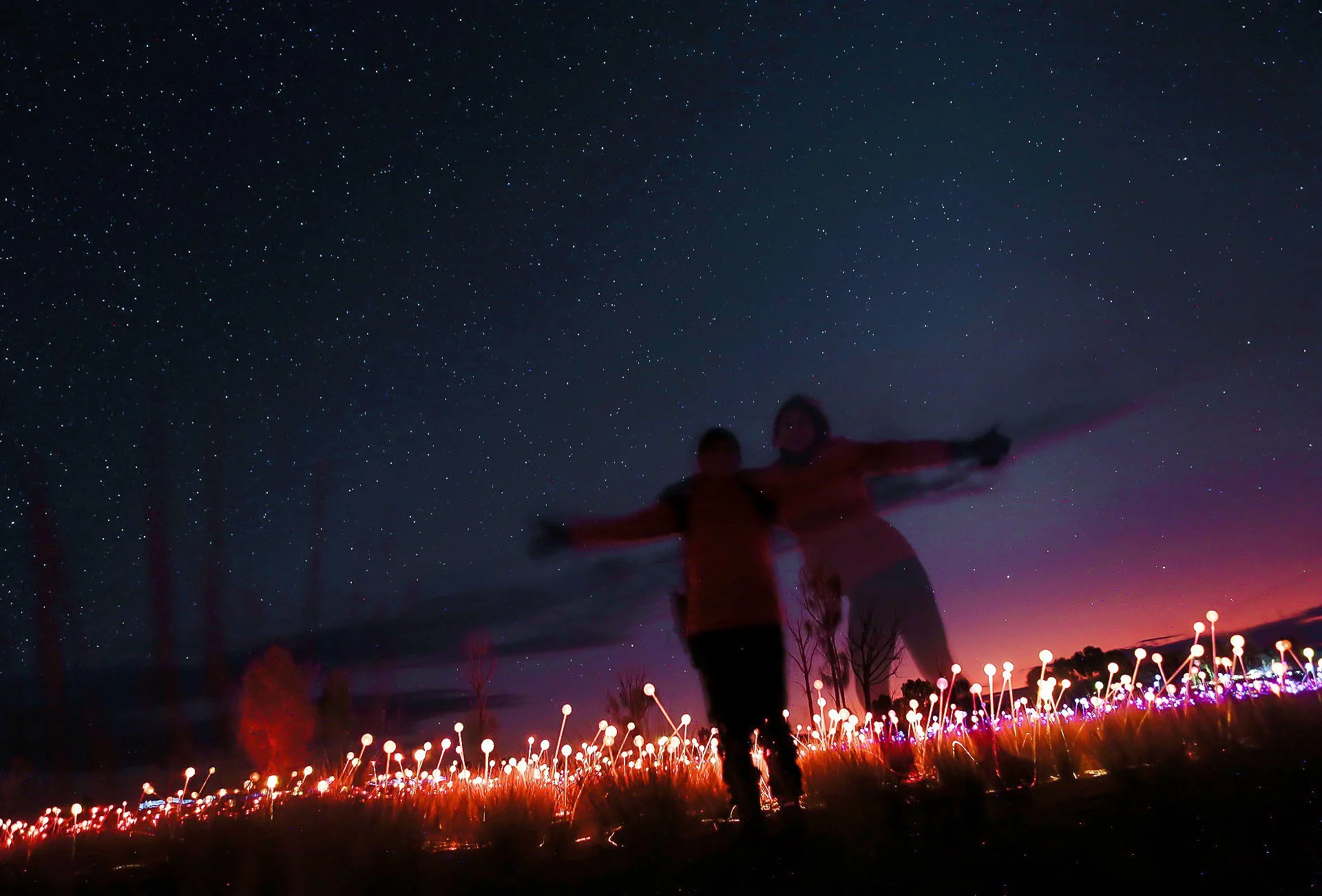 Two people standing in a field under a starry night sky with colorful glowing plants.